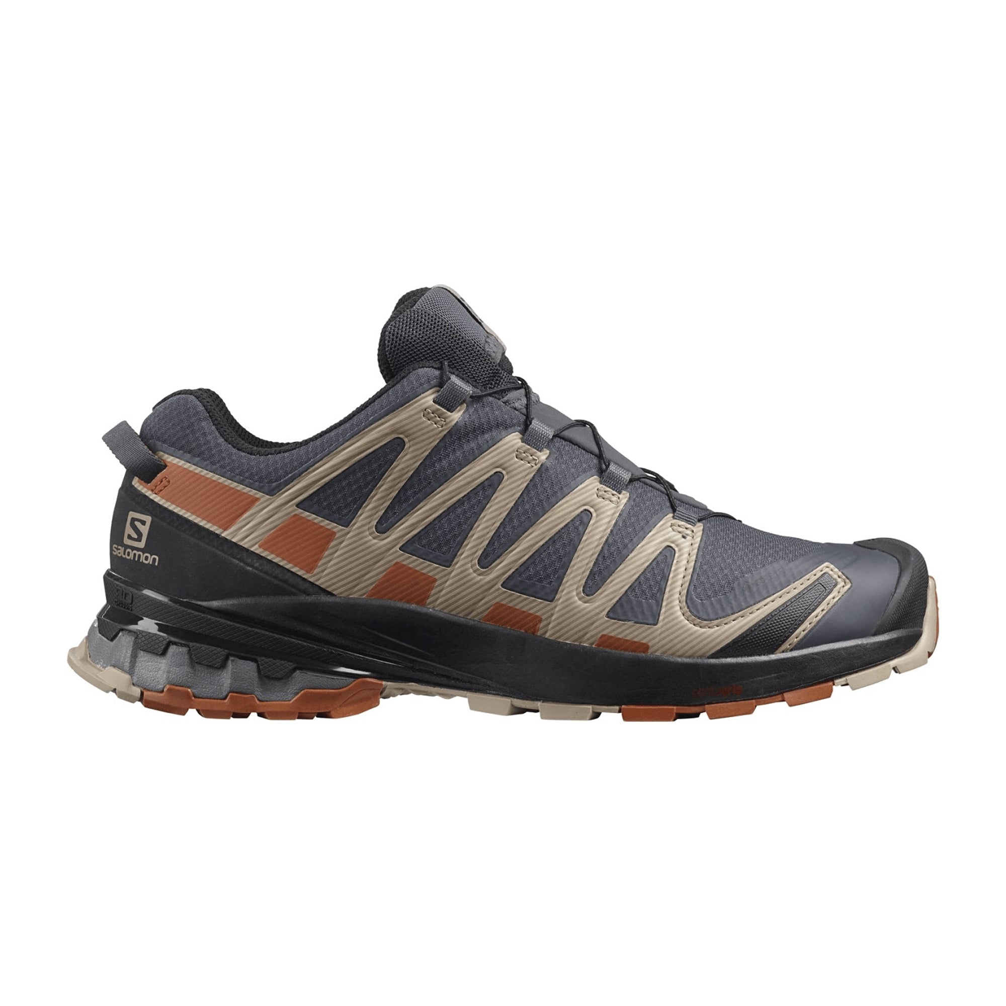Salomon XA Pro 3D v8 GTX for men, gray, shoes