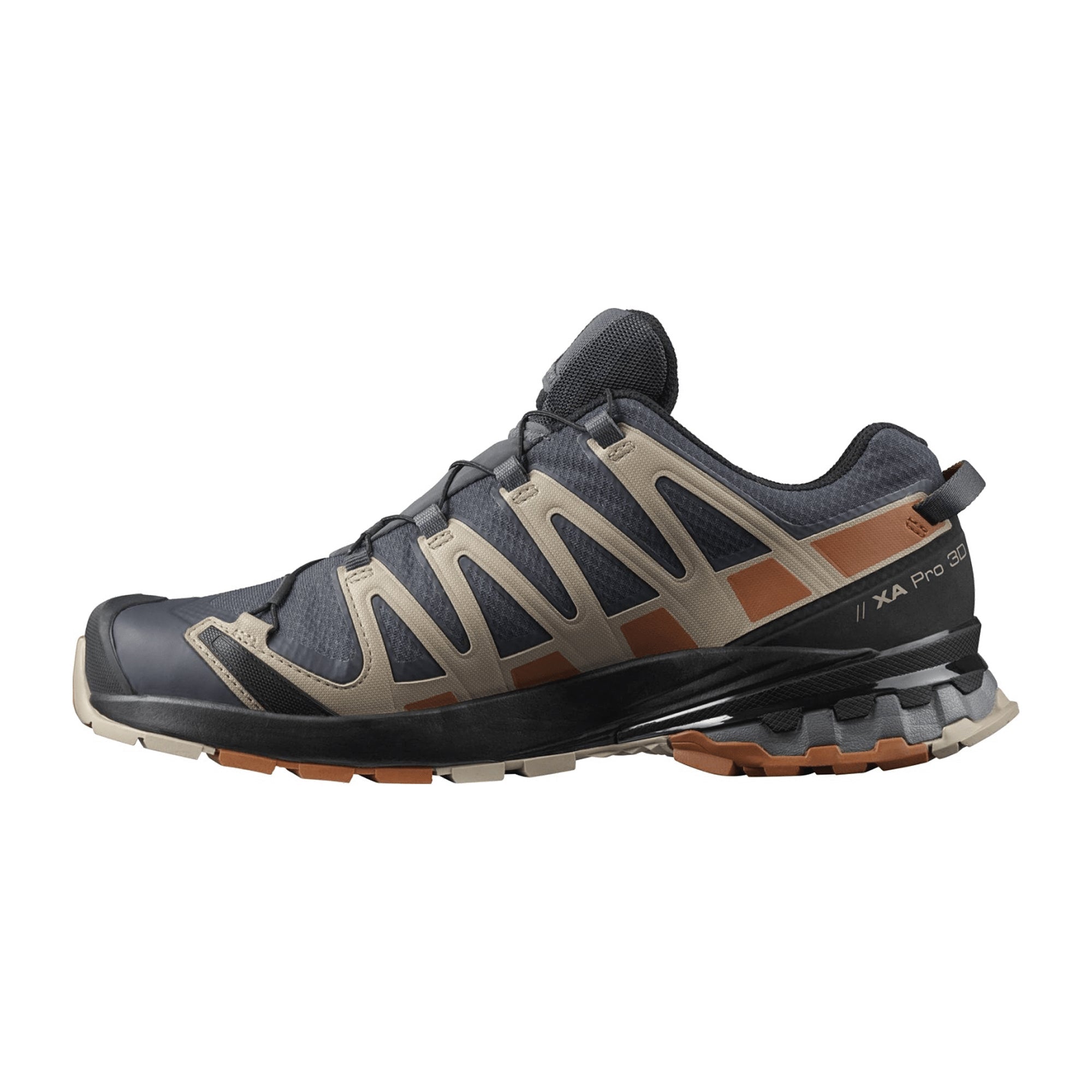 Salomon XA Pro 3D v8 GTX for men, gray, shoes