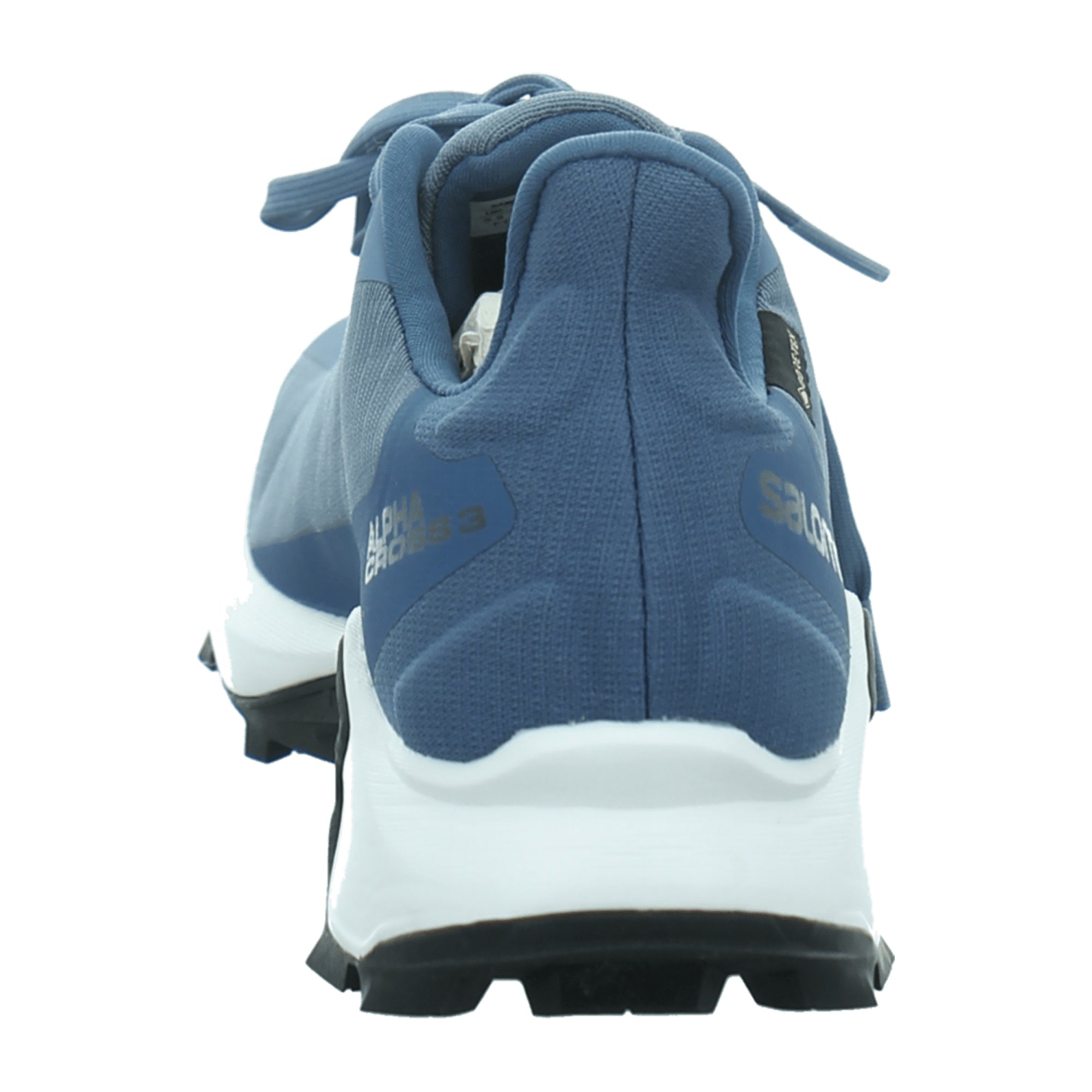 Salomon shoes ALPHACROSS 3 GTX W Blue for women, blue
