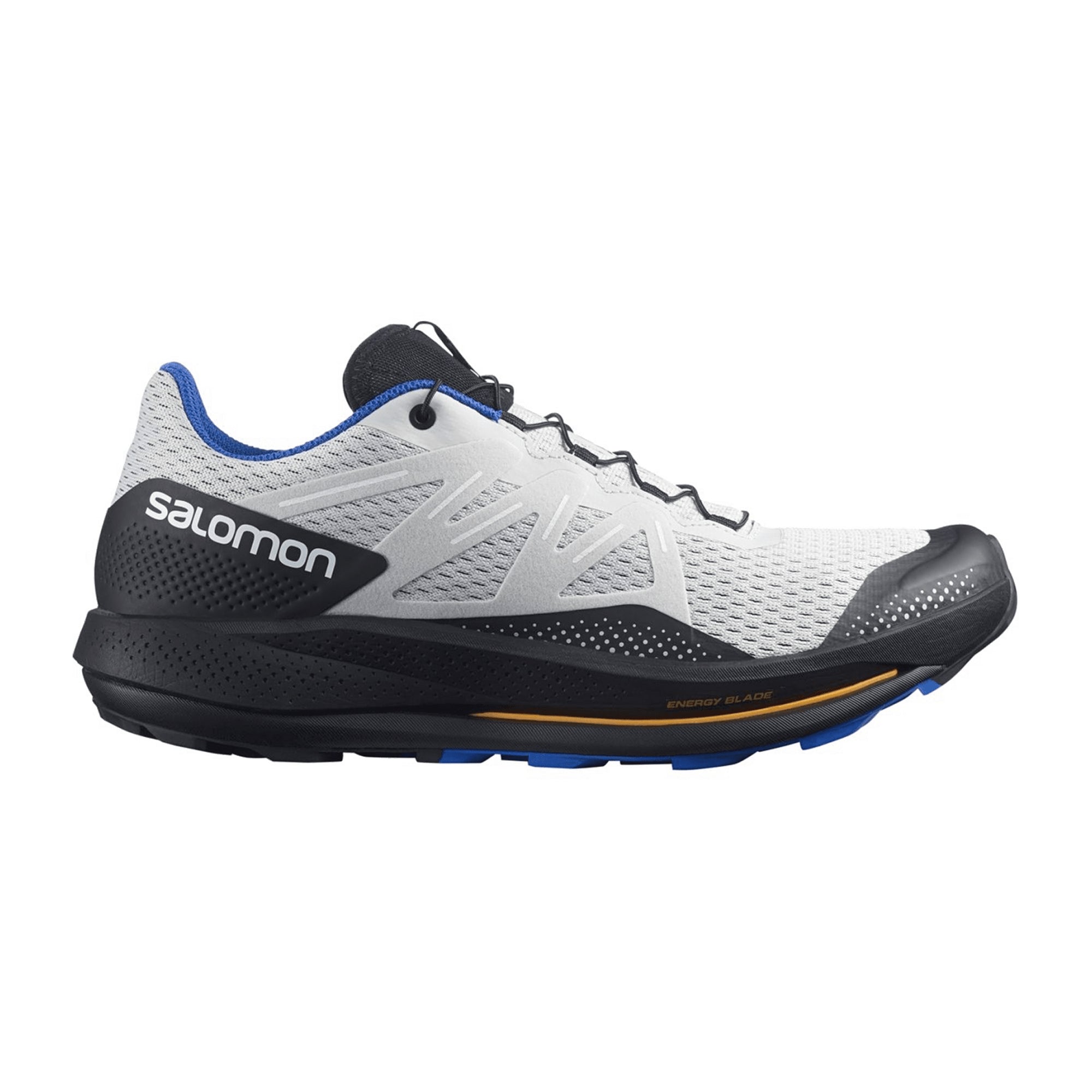 Salomon Pulsar Trail for men, gray, shoes