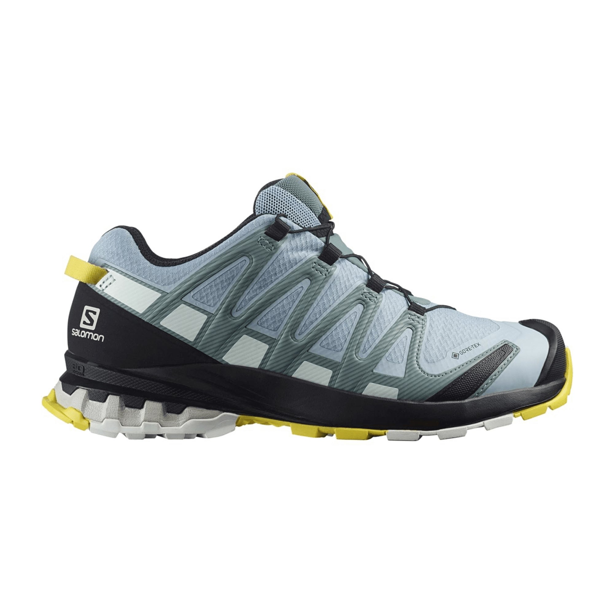 Salomon XA PRO 3D v8 GTX for women, blue, shoes