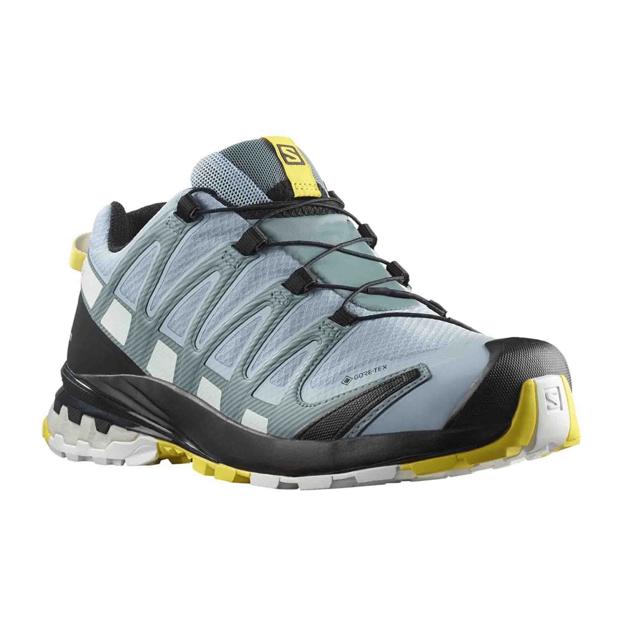 Salomon XA PRO 3D v8 GTX for women, blue, shoes