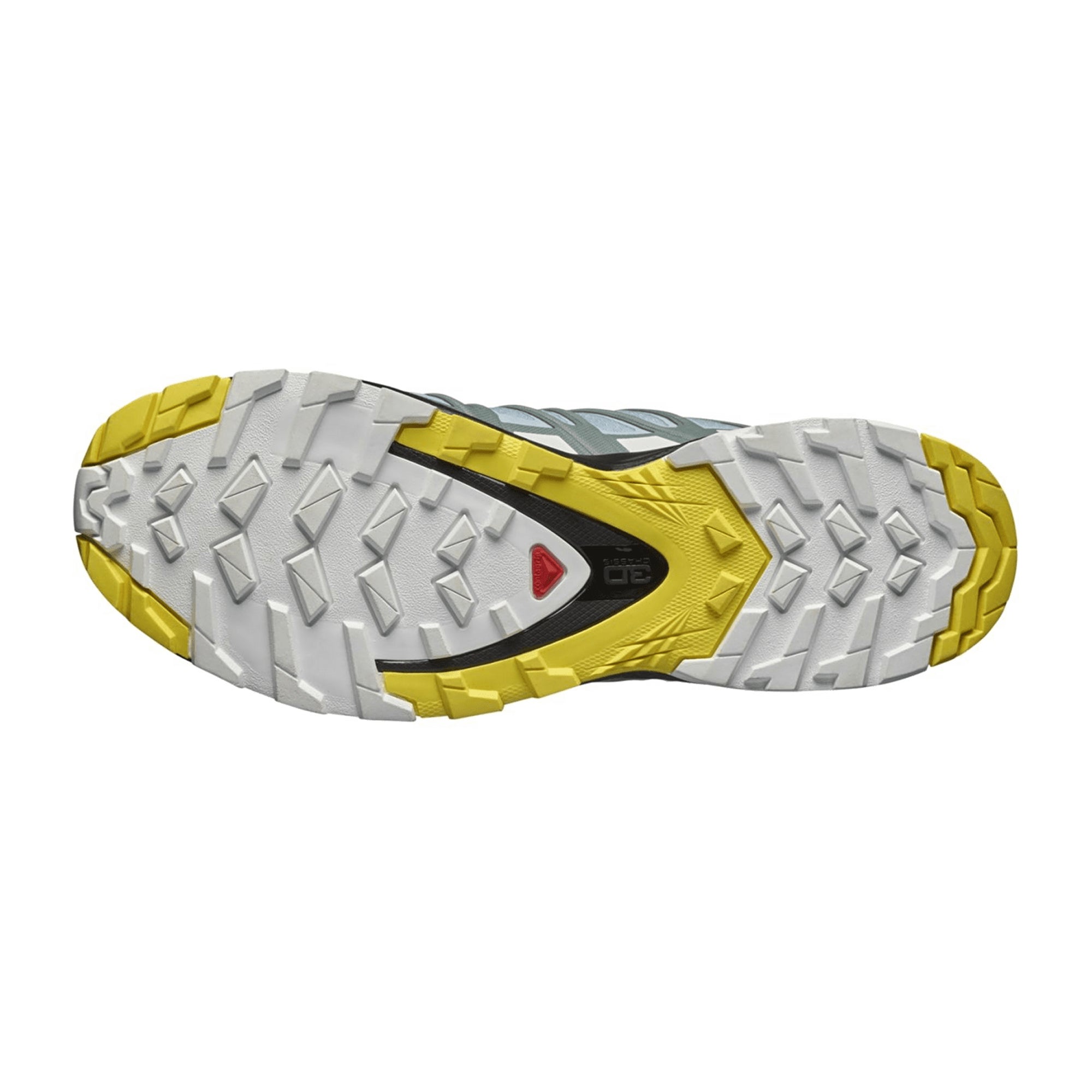 Salomon XA PRO 3D v8 GTX for women, blue, shoes