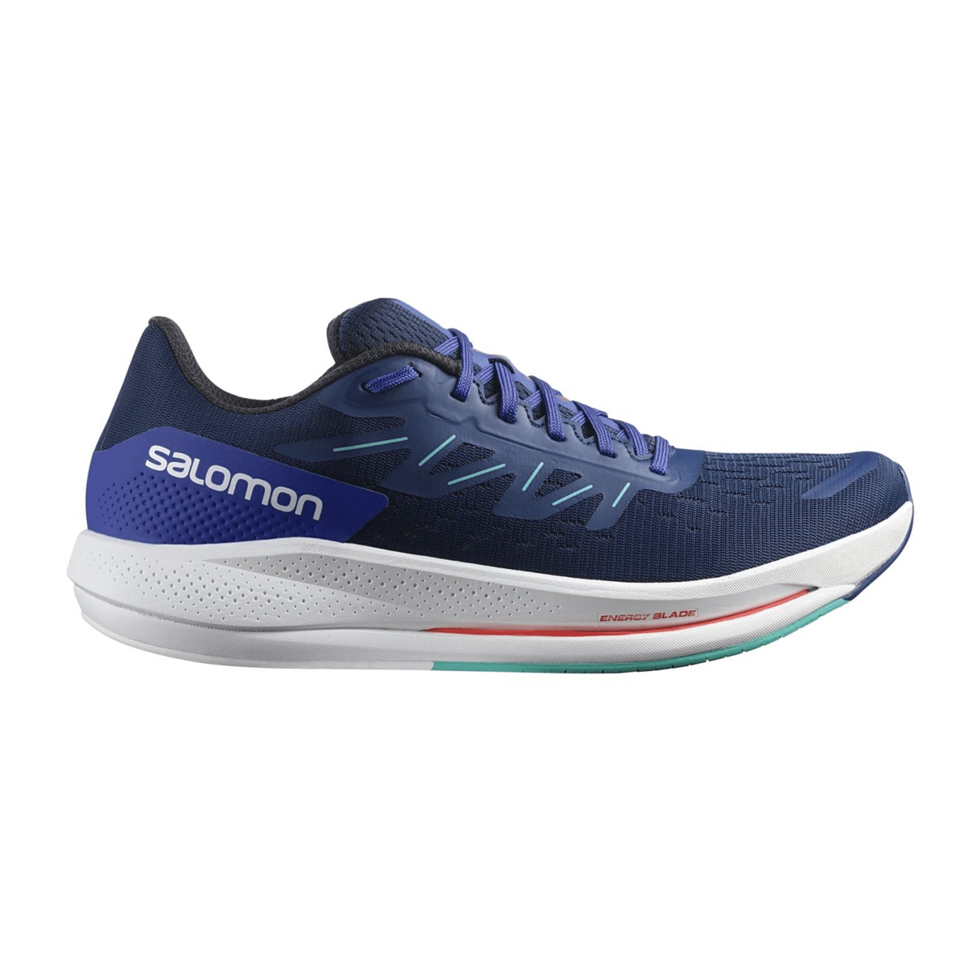 Salomon Spectur for men, blue, shoes