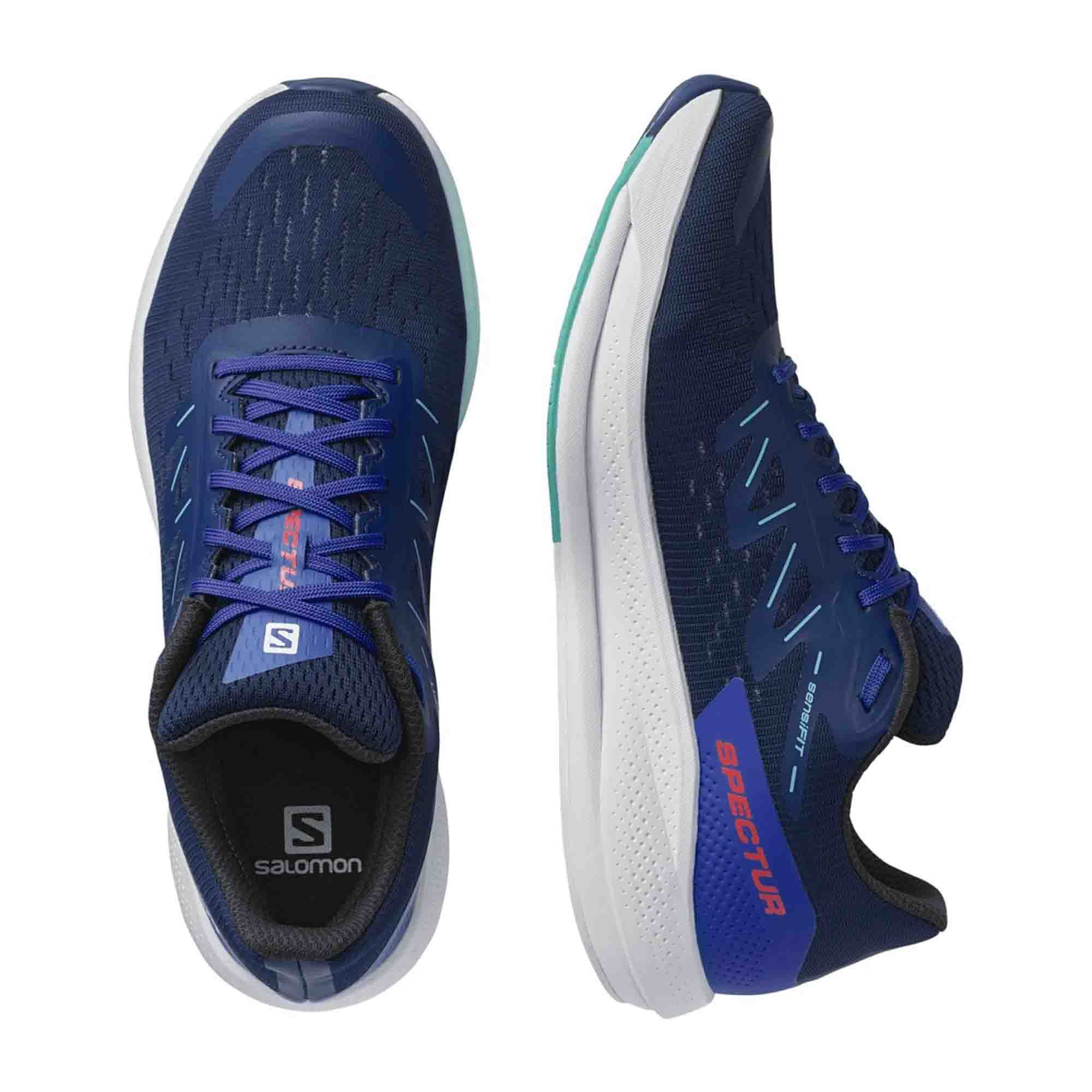 Salomon Spectur for men, blue, shoes