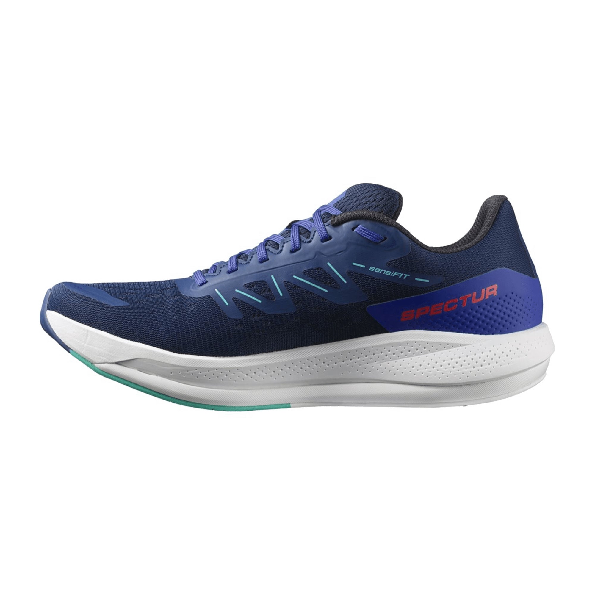 Salomon Spectur for men, blue, shoes