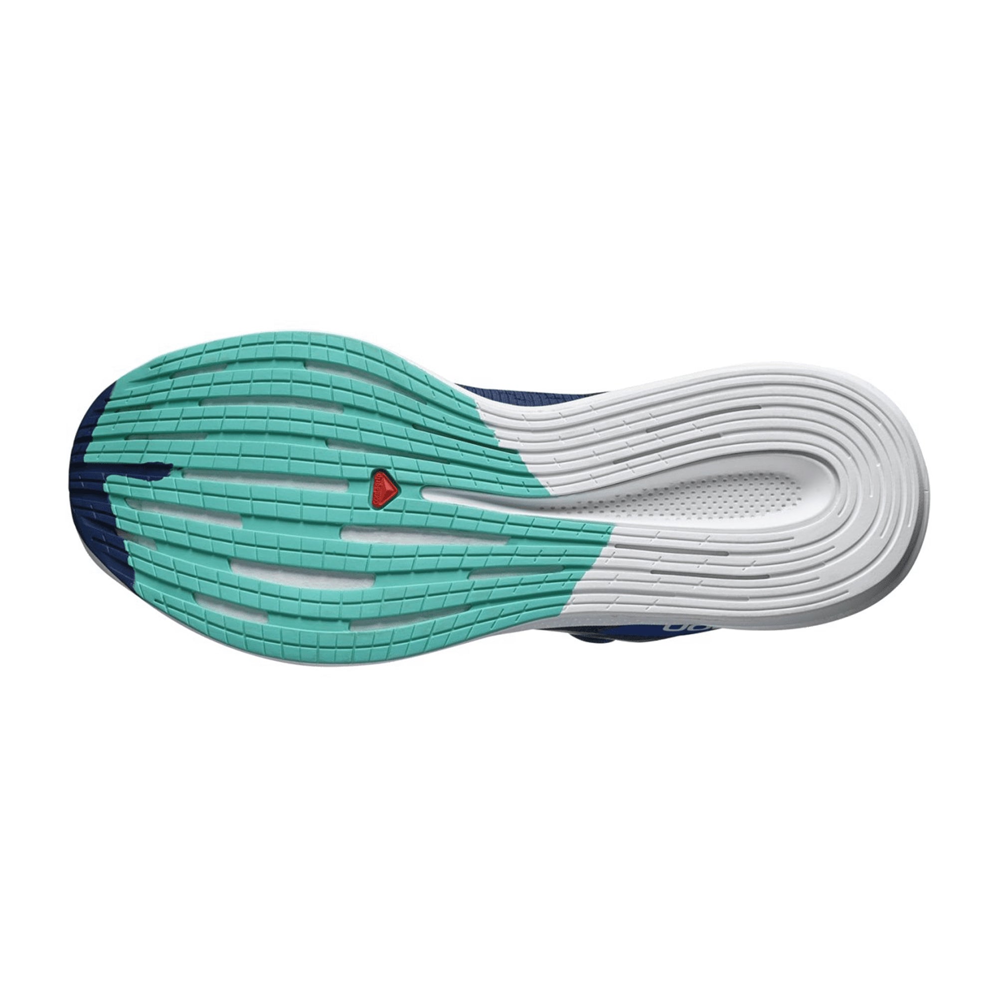 Salomon Spectur for men, blue, shoes