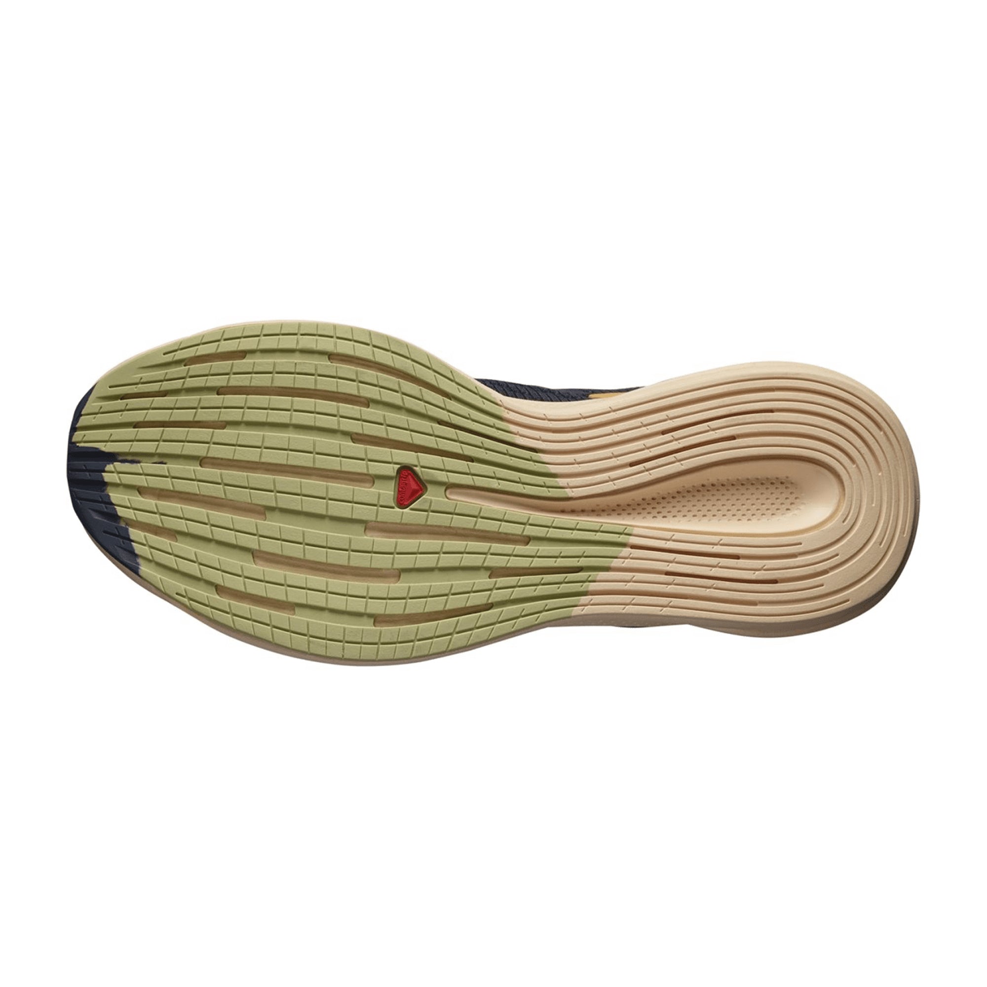 Salomon Spectur for women, gray, shoes