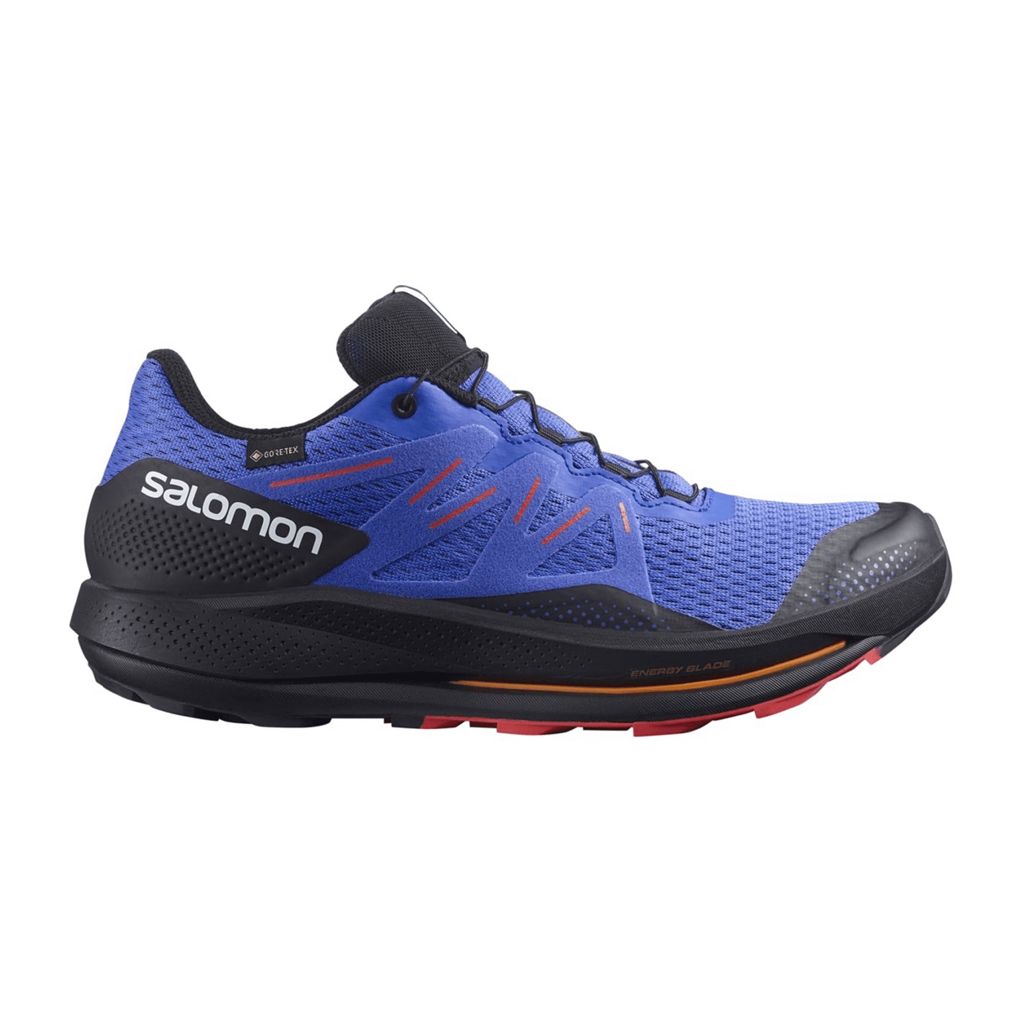 Salomon Pulsar Trail GTX for men, blue, shoes