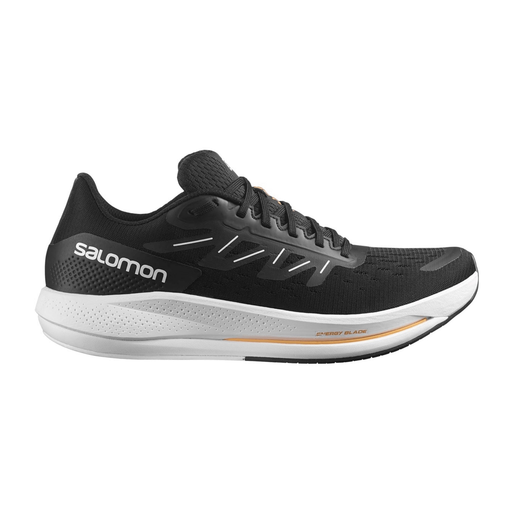 Salomon Spectur for men, black, shoes