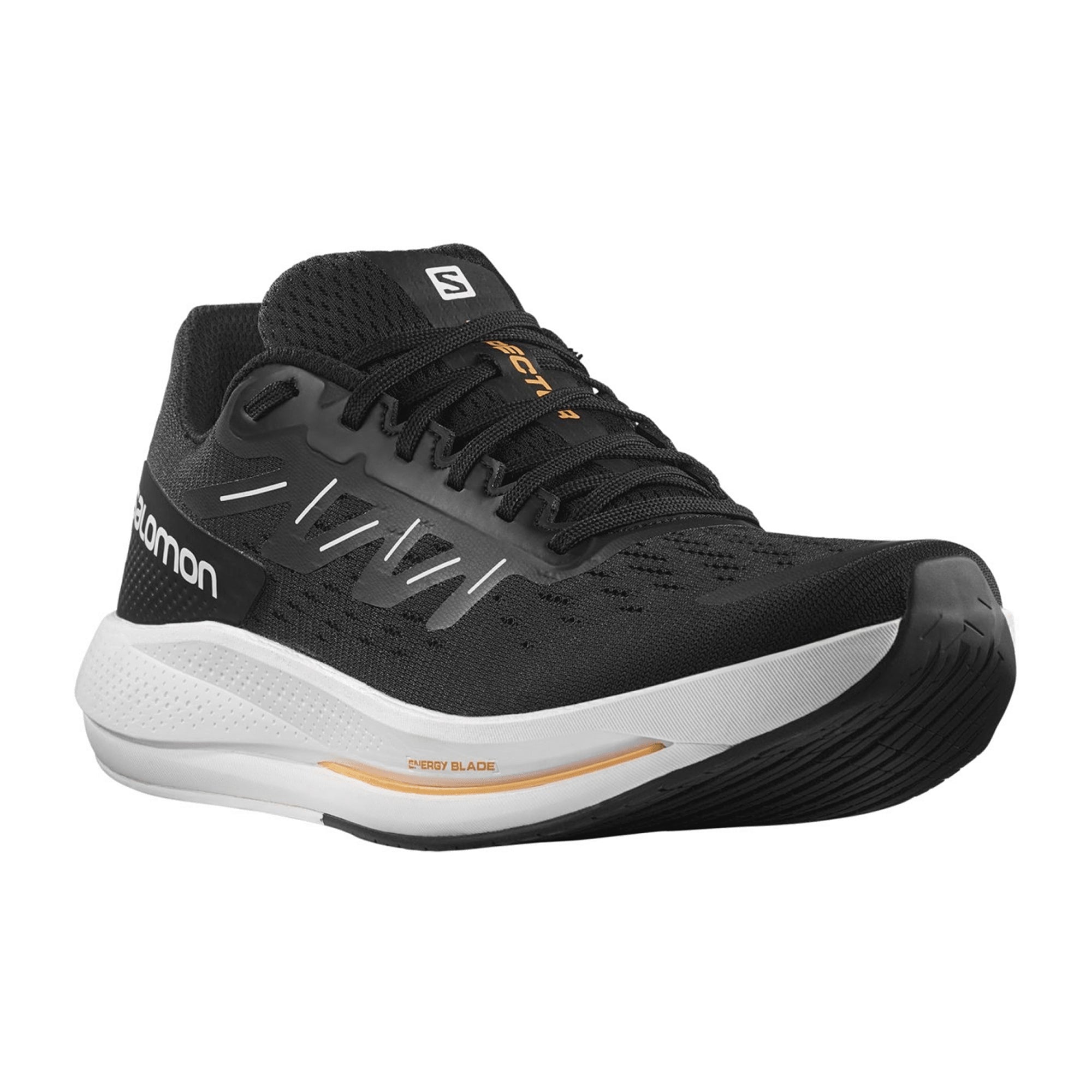 Salomon Spectur for men, black, shoes