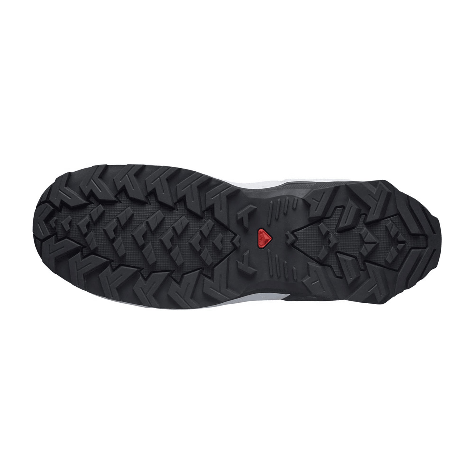 Salomon sports shoes X REVEAL 2 GTX for men, gray