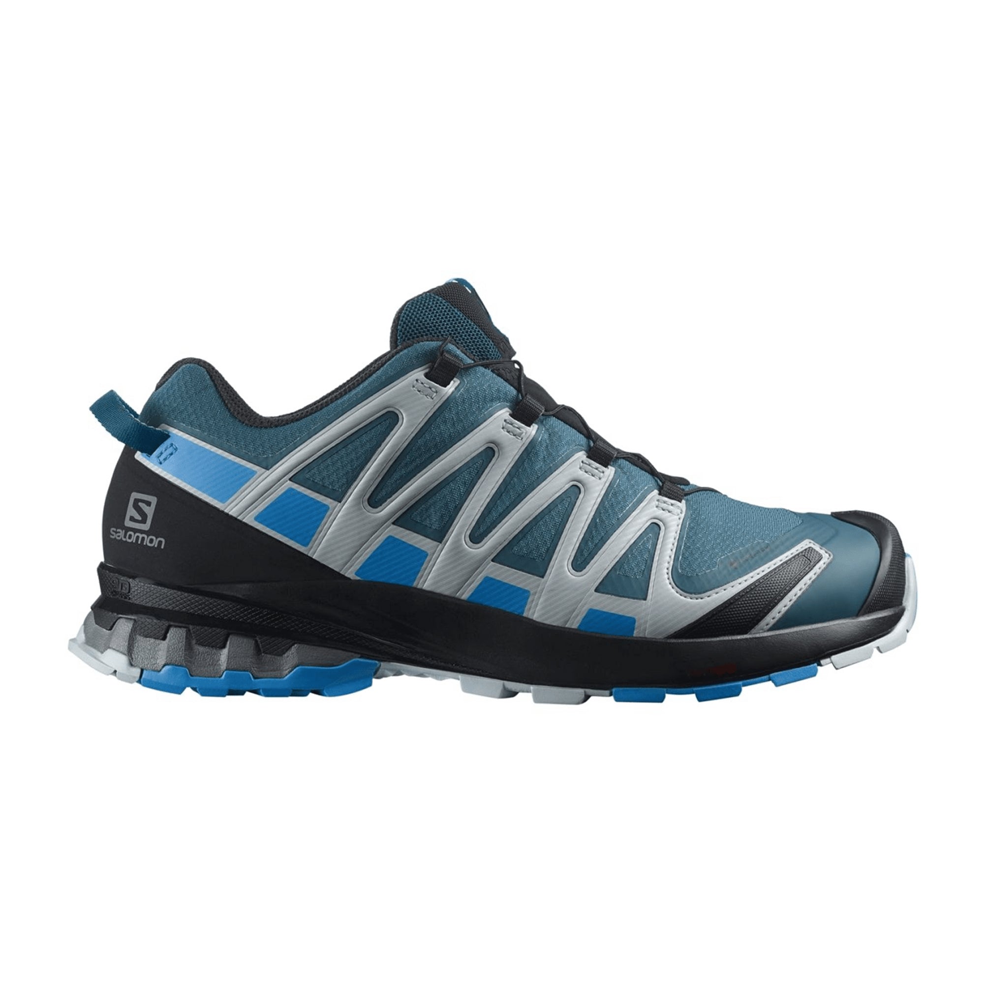 Salomon XA Pro 3D v8 GTX for men, blue, shoes