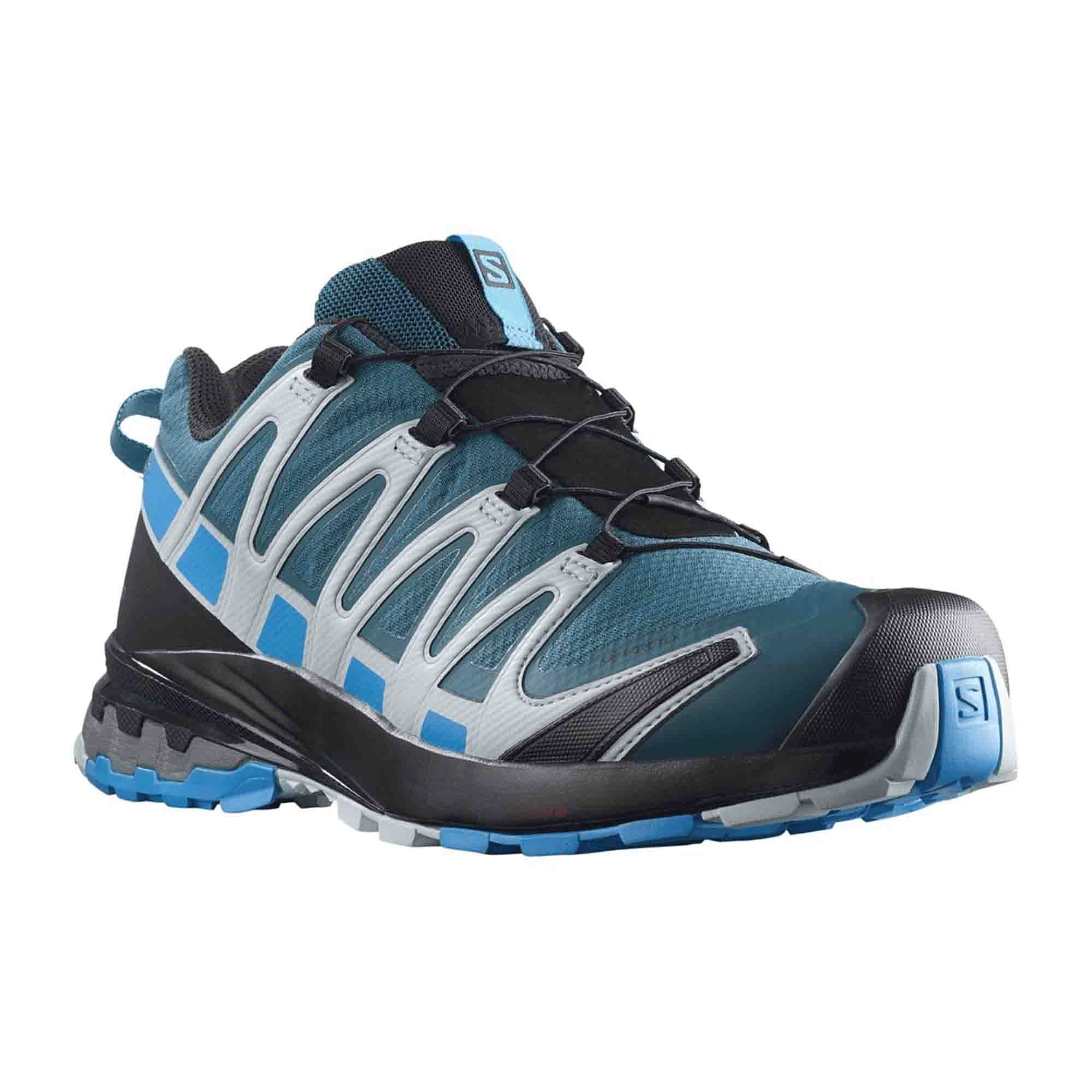 Salomon XA Pro 3D v8 GTX for men, blue, shoes