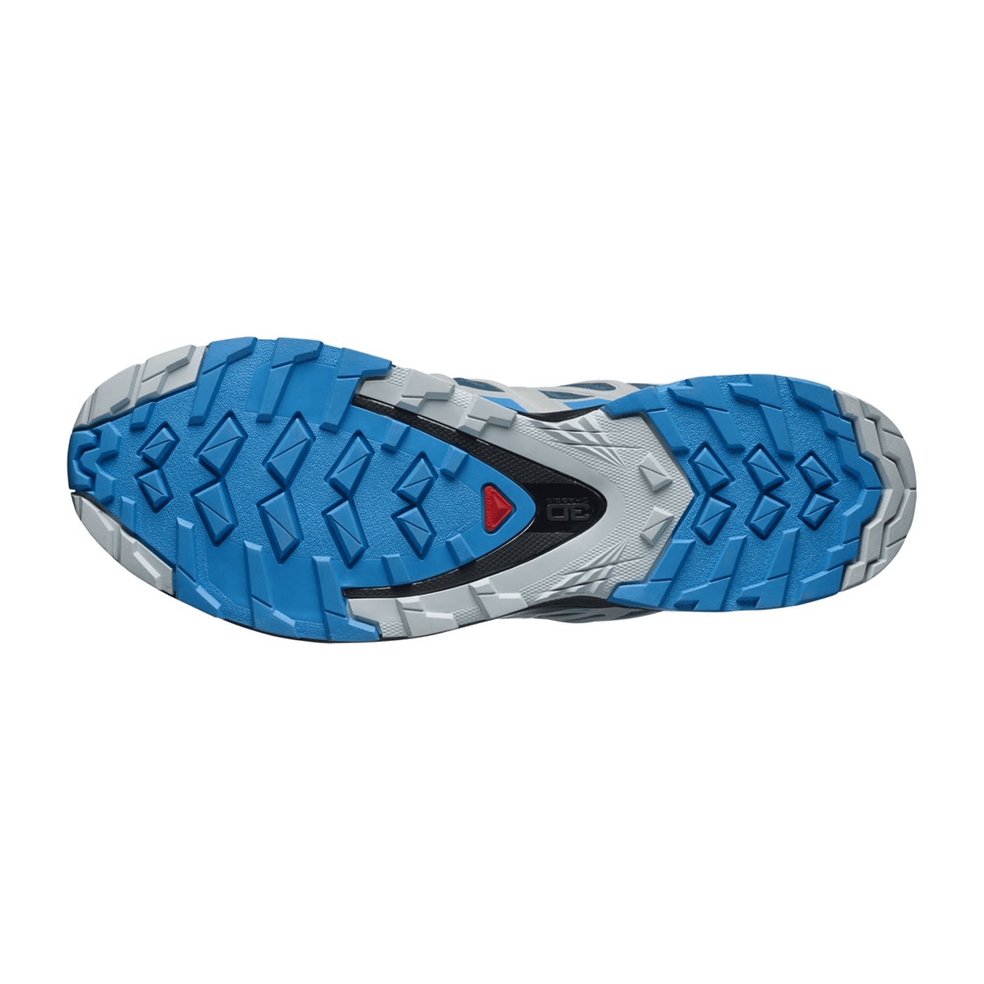 Salomon XA Pro 3D v8 GTX for men, blue, shoes