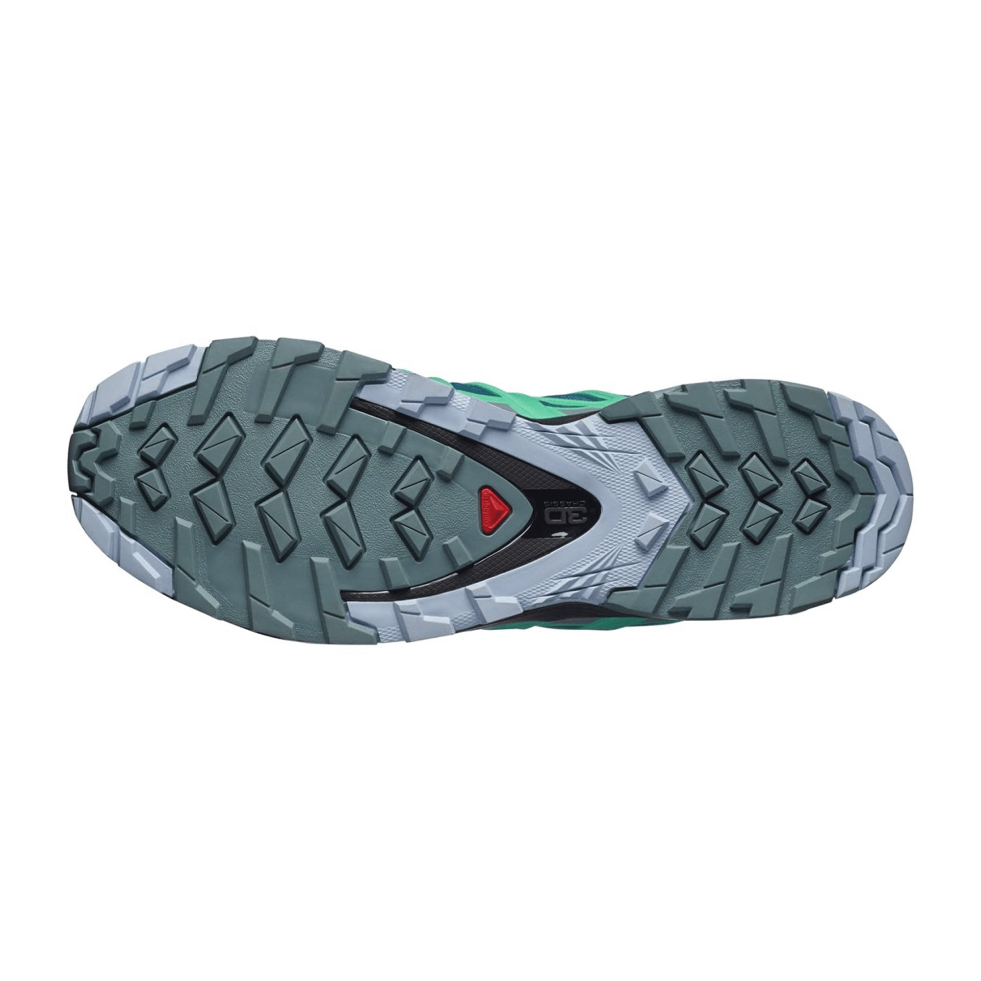 Salomon XA PRO 3D v8 GTX for women, blue, shoes