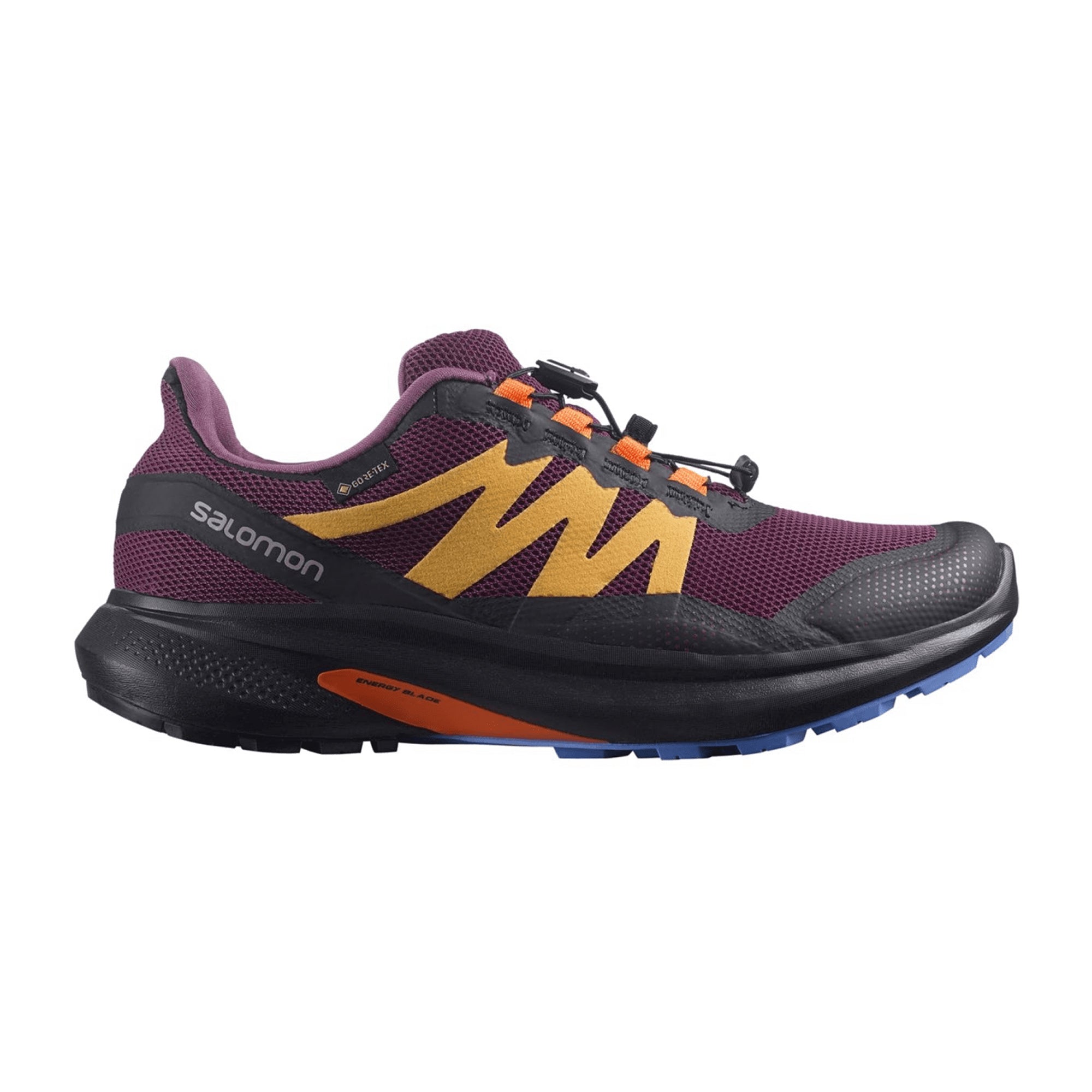 Salomon shoes HYPULSE GTX W Grape Wine/Blz for women, purple