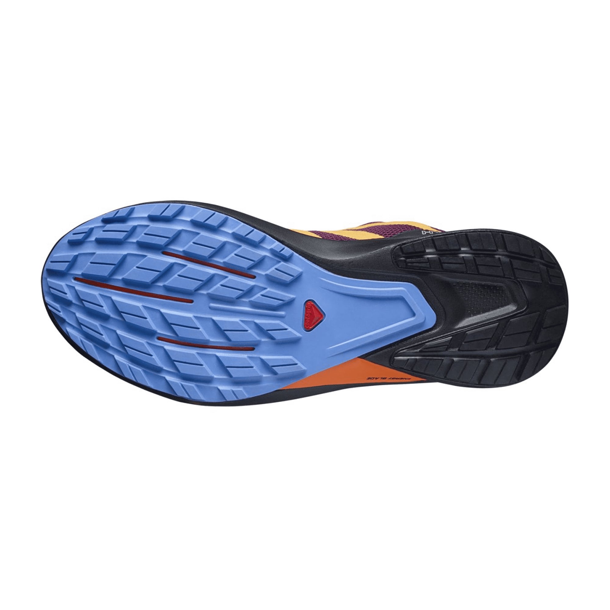 Salomon shoes HYPULSE GTX W Grape Wine/Blz for women, purple