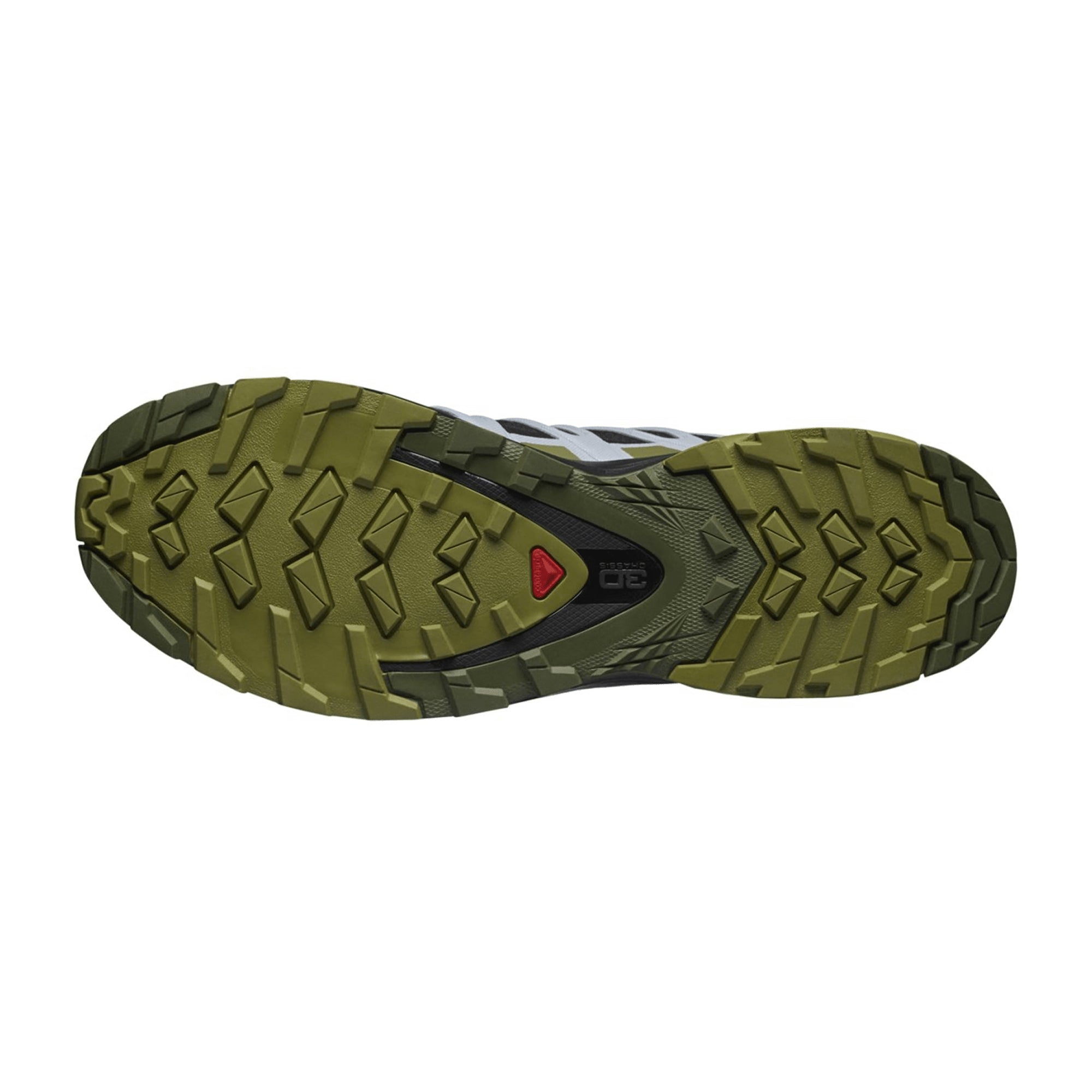 Salomon XA PRO 3D v8 GTX for women, black, shoes