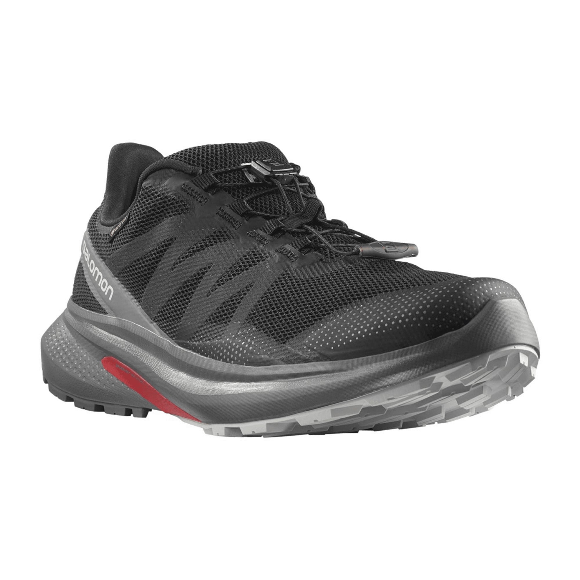 Salomon shoes HYPULSE GTX Black (pantone T for men, black