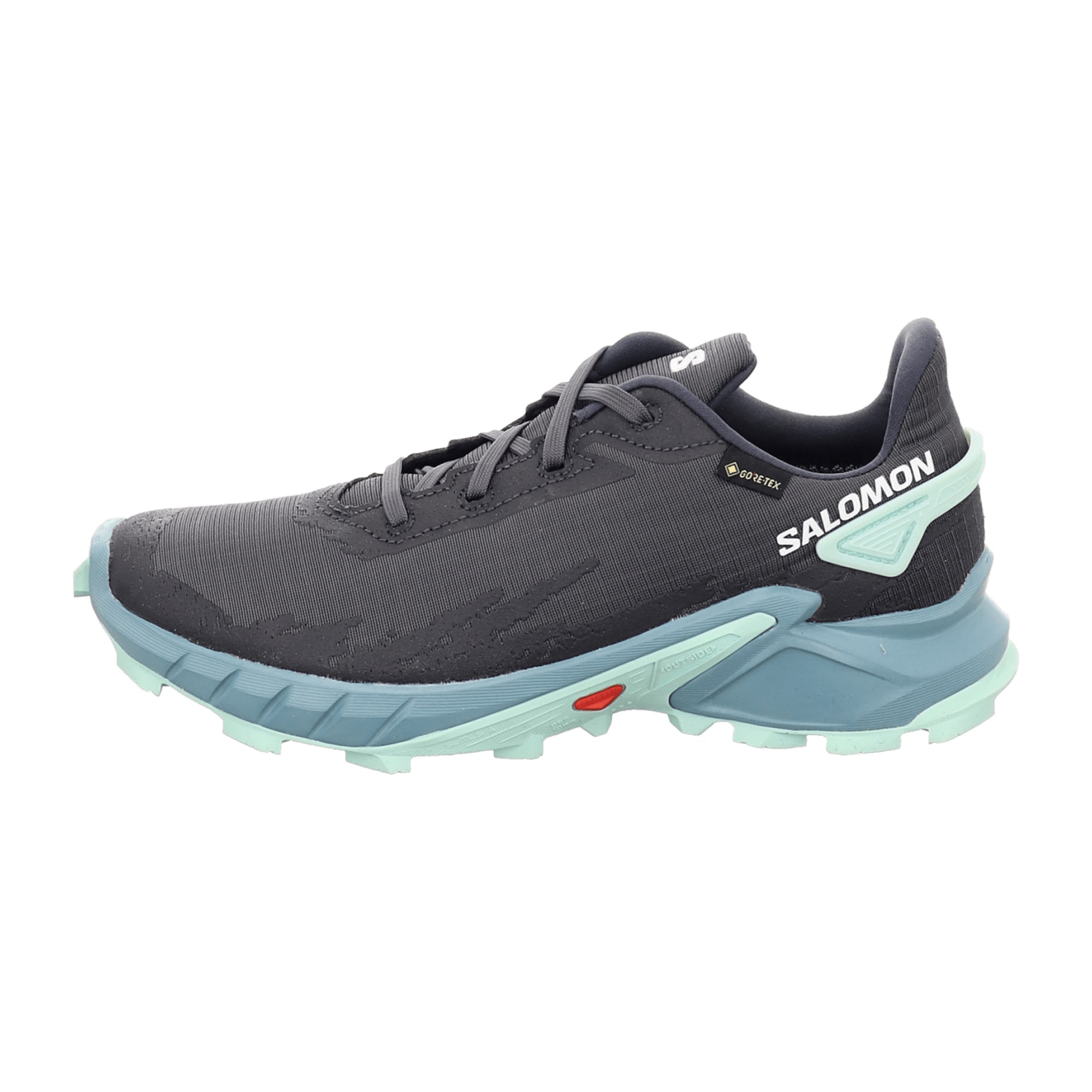 Salomon 4 GTX for women, gray, shoes