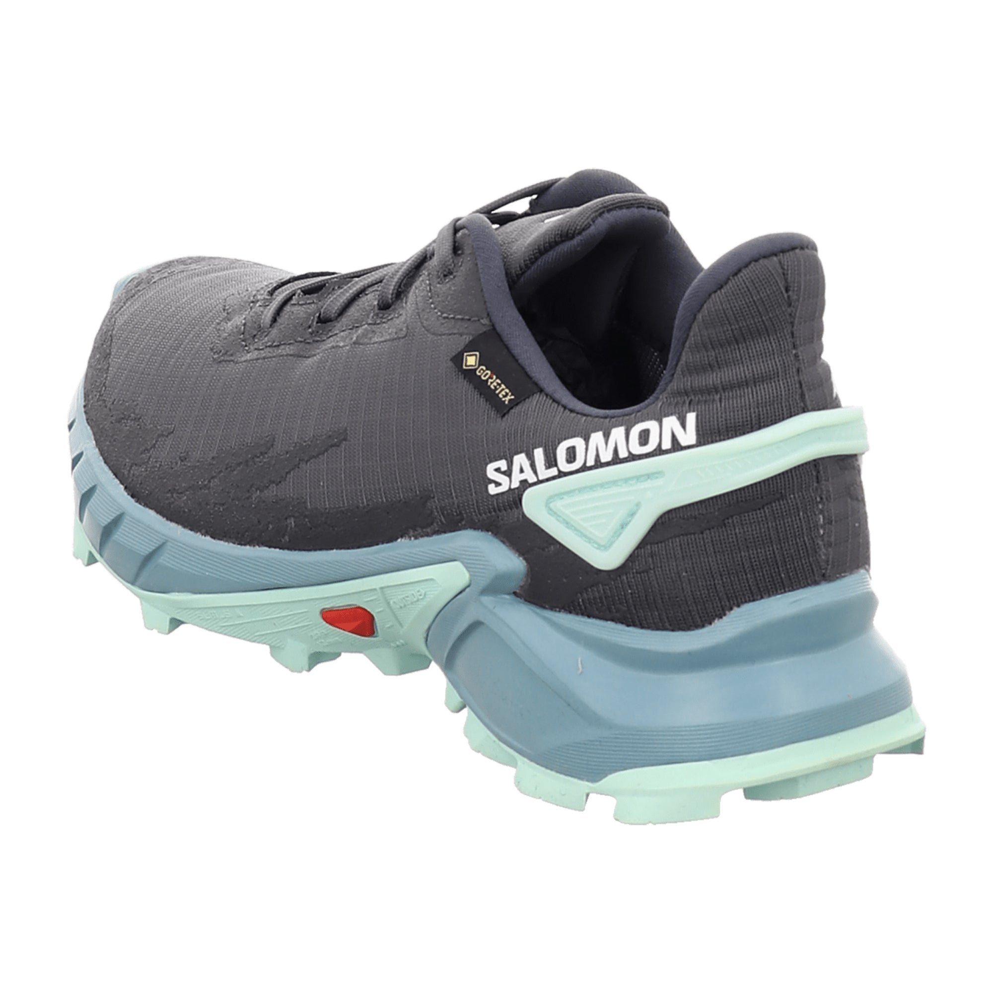 Salomon 4 GTX for women, gray, shoes