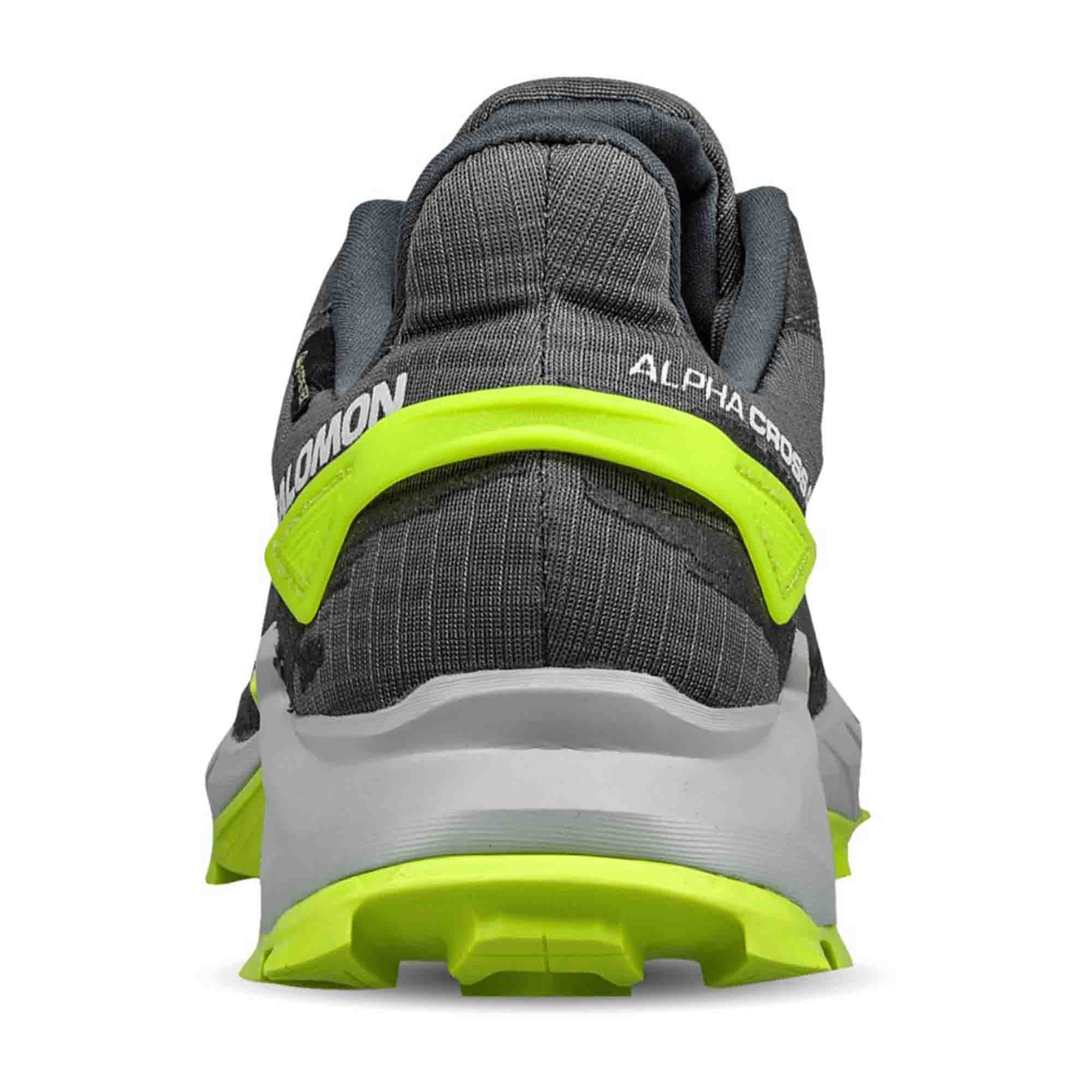 Salomon ALPHACROSS 4 GTX for men, gray, shoes