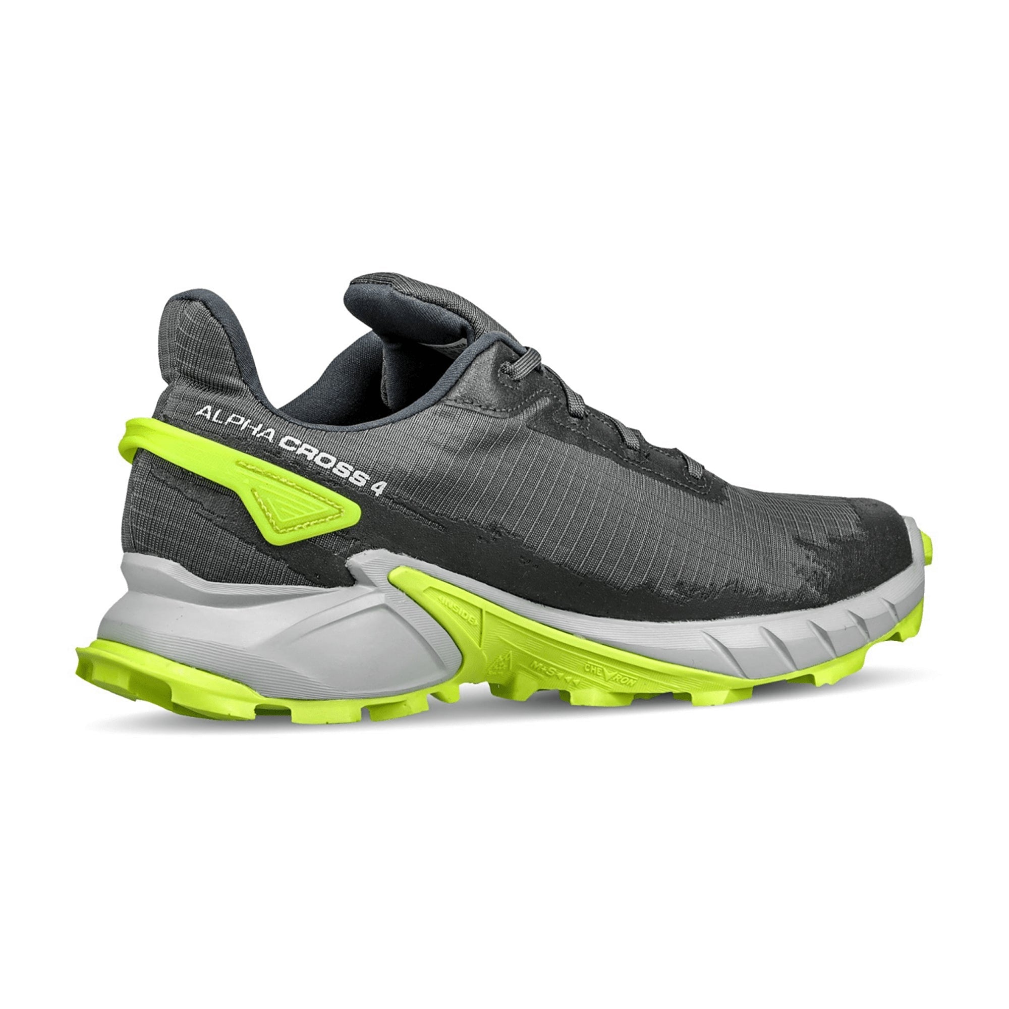 Salomon ALPHACROSS 4 GTX for men, gray, shoes