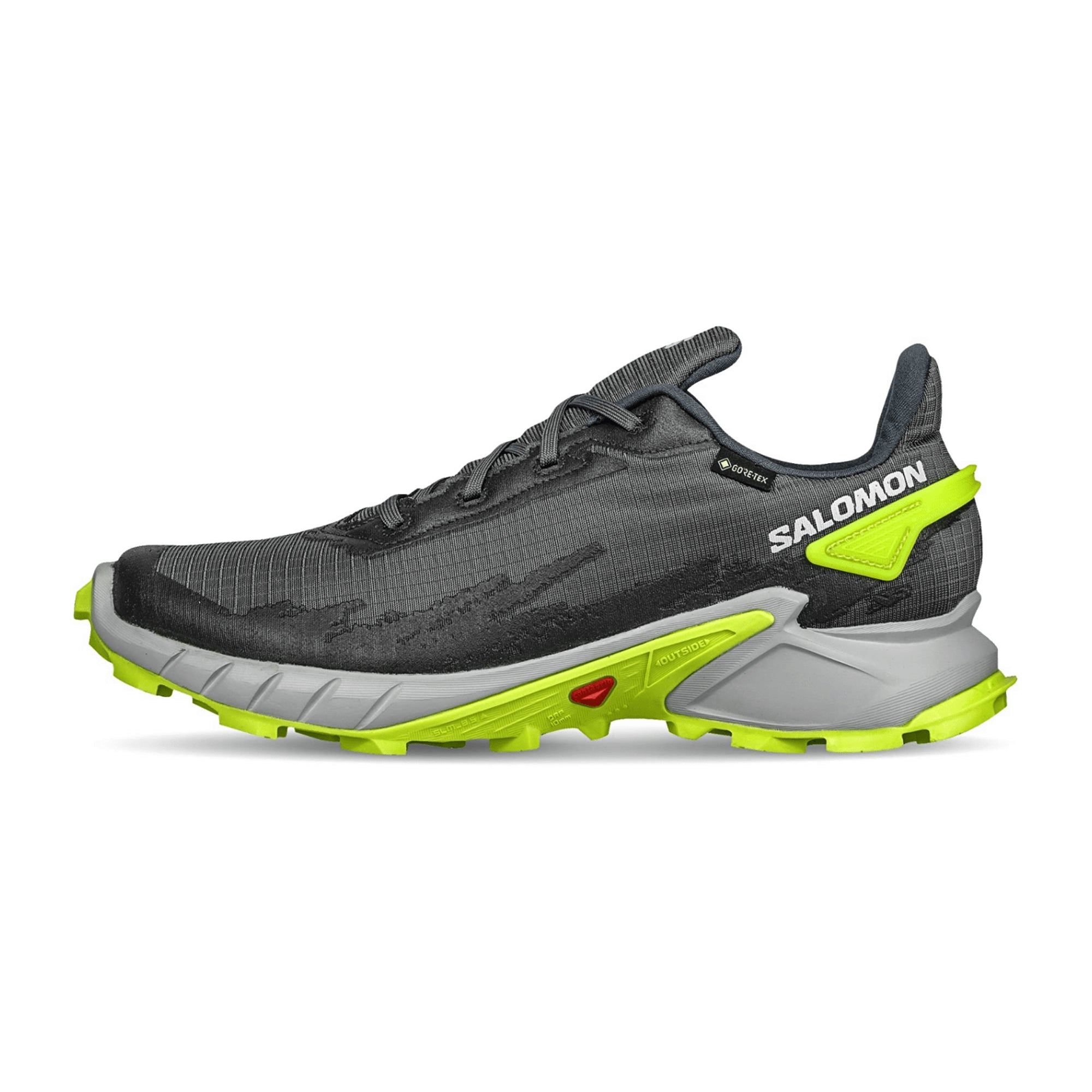 Salomon ALPHACROSS 4 GTX for men, gray, shoes