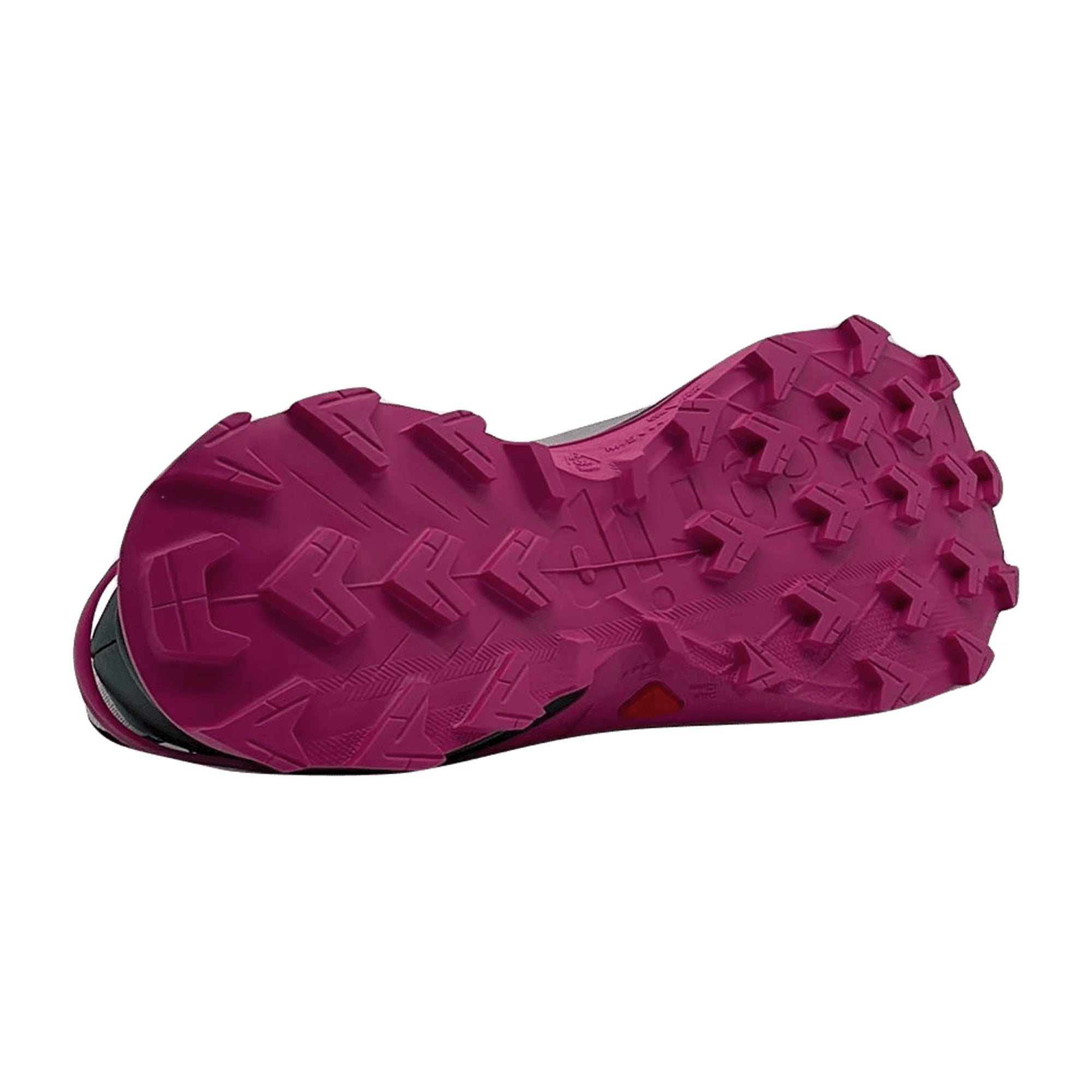 Salomon Supercross 4 GTX for women, gray, shoes