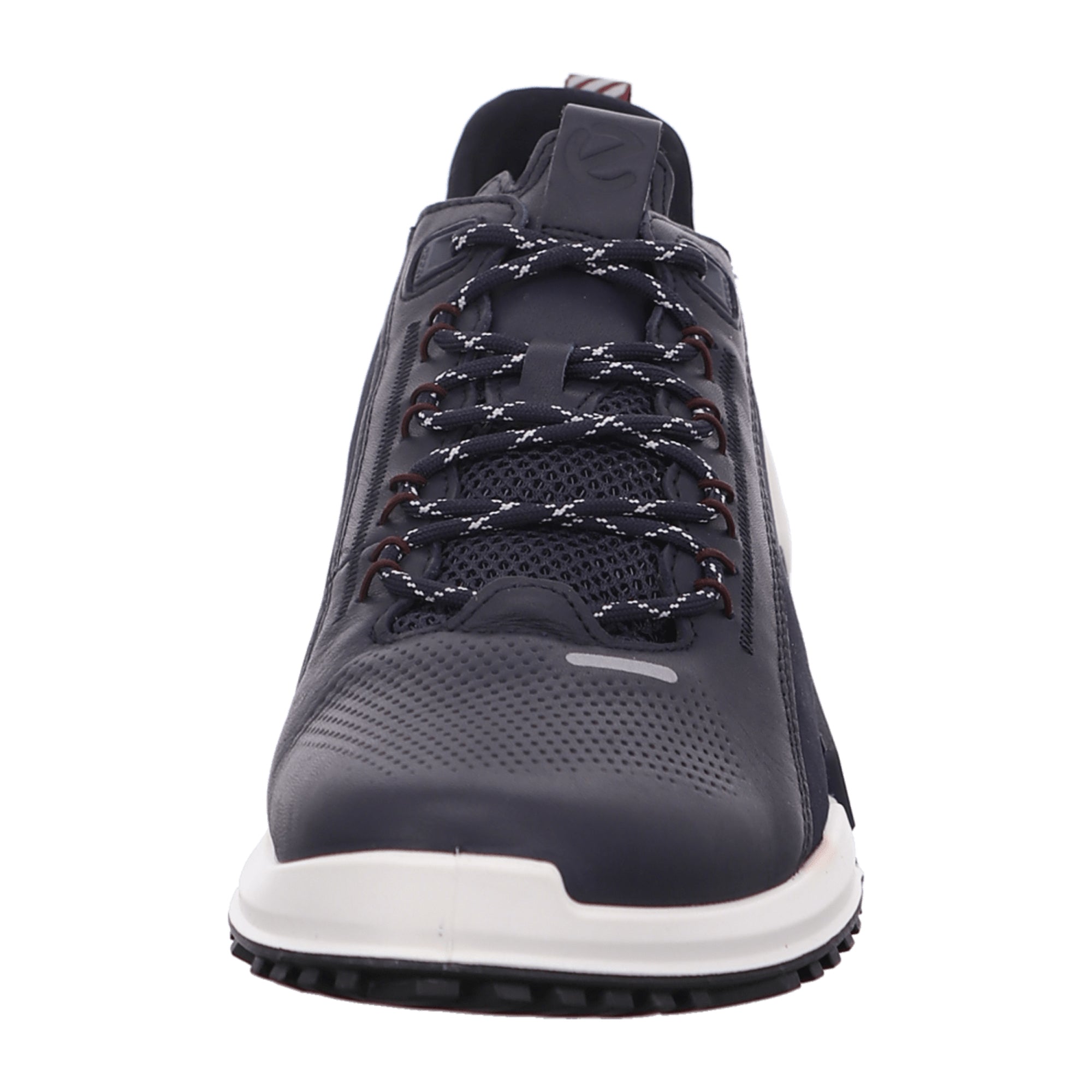 Ecco BIOM 2.0 M Men's Sneakers - Stylish Blue Athletic Shoes for Active Lifestyle