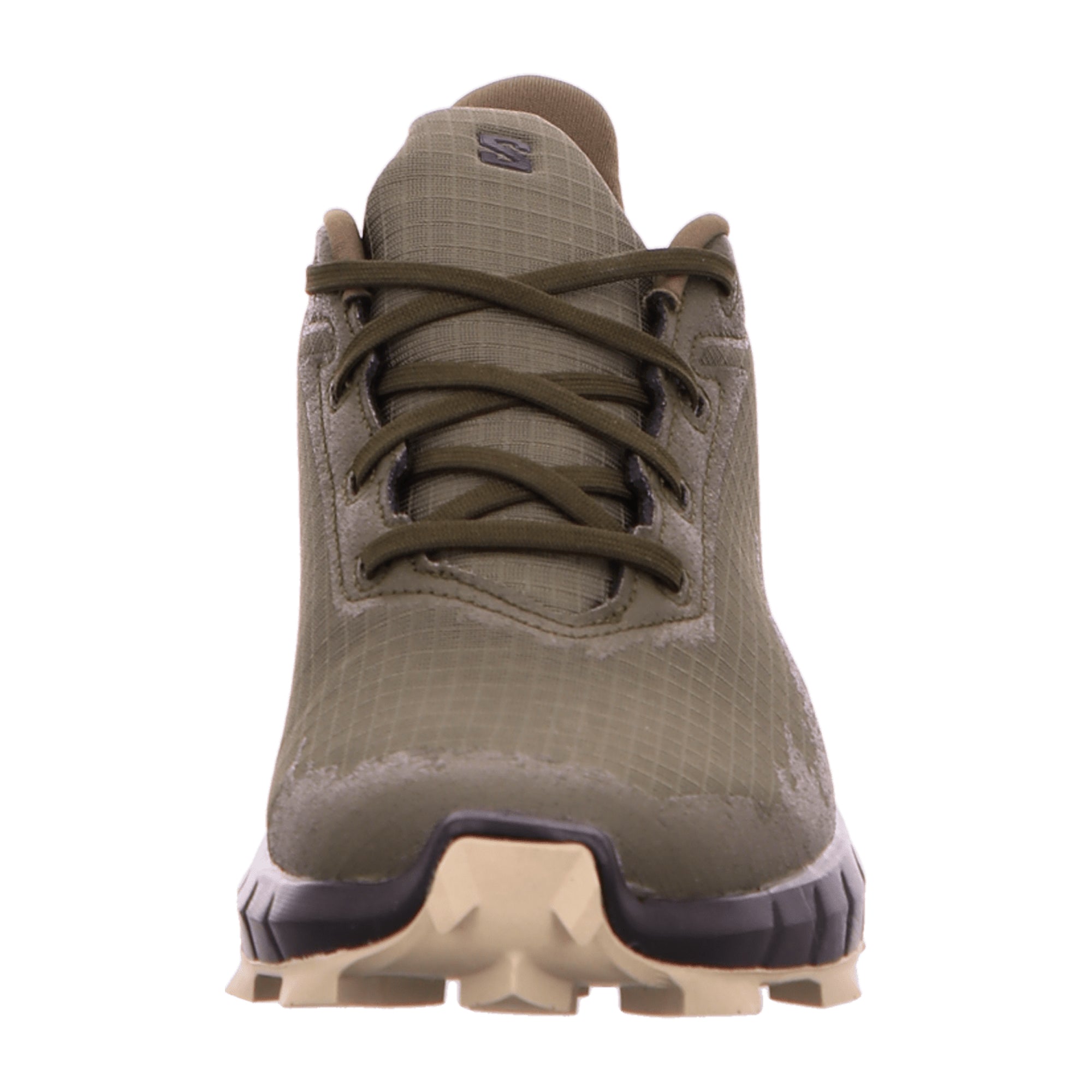 Salomon ALPHACROSS 4 GTX for men, green, shoes