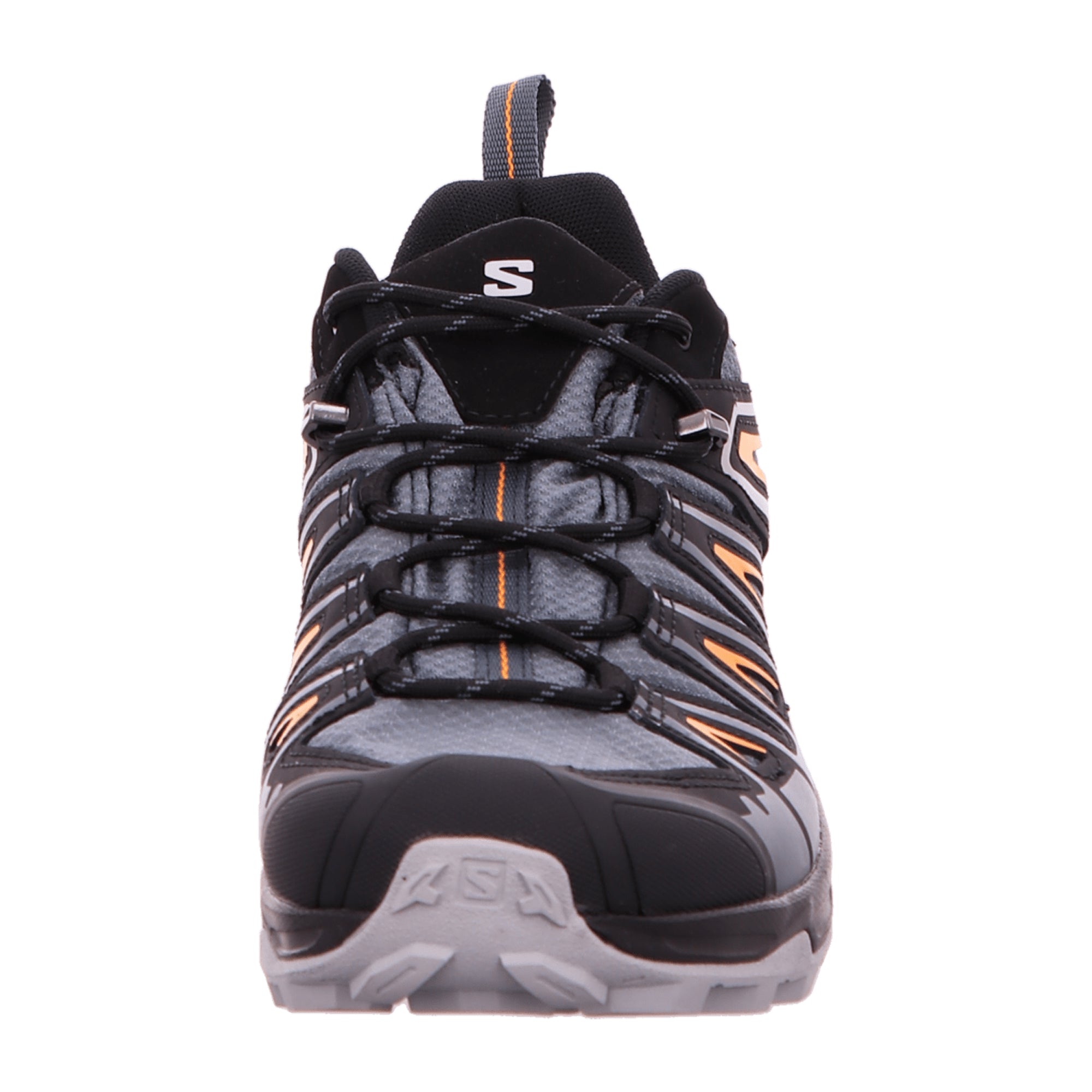 Salomon X Ultra Pioneer GTX for men, gray, shoes