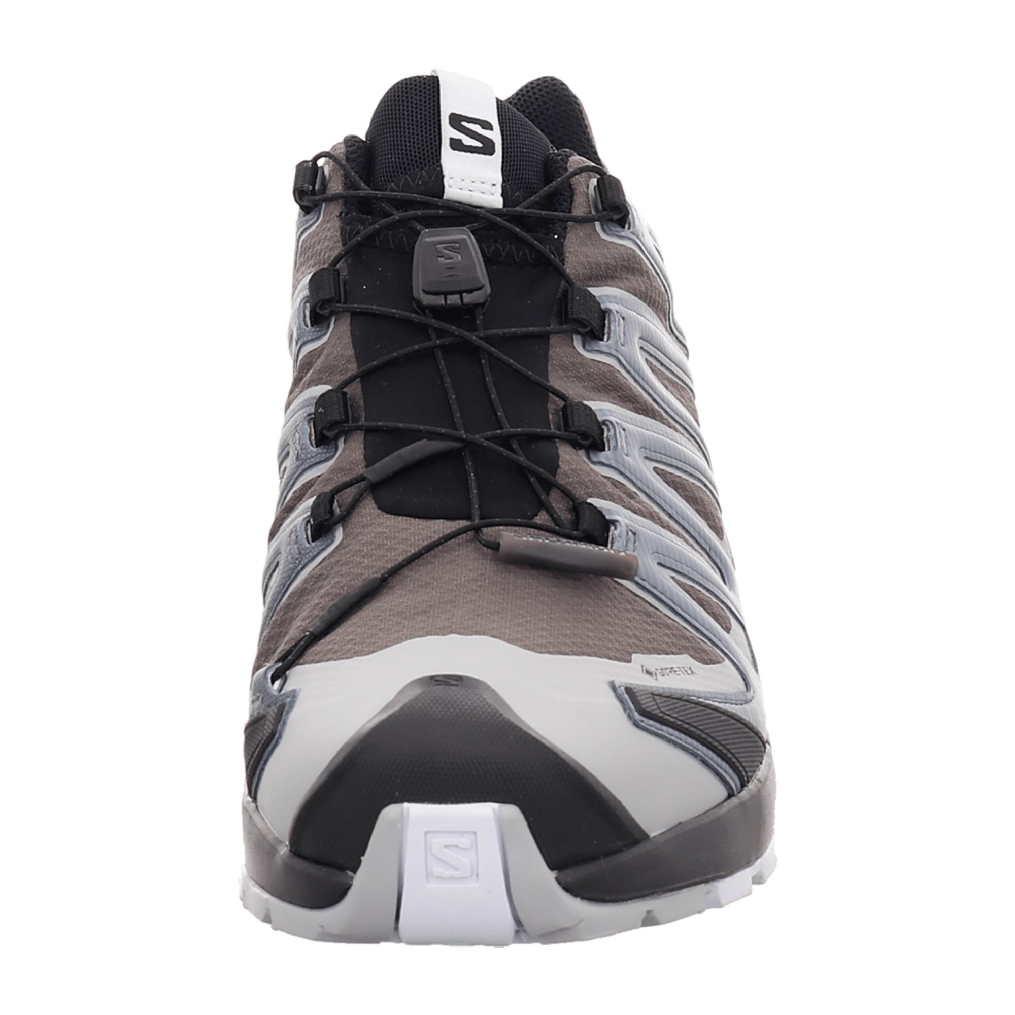Salomon XA PRO 3D v8 GTX for men, gray, shoes