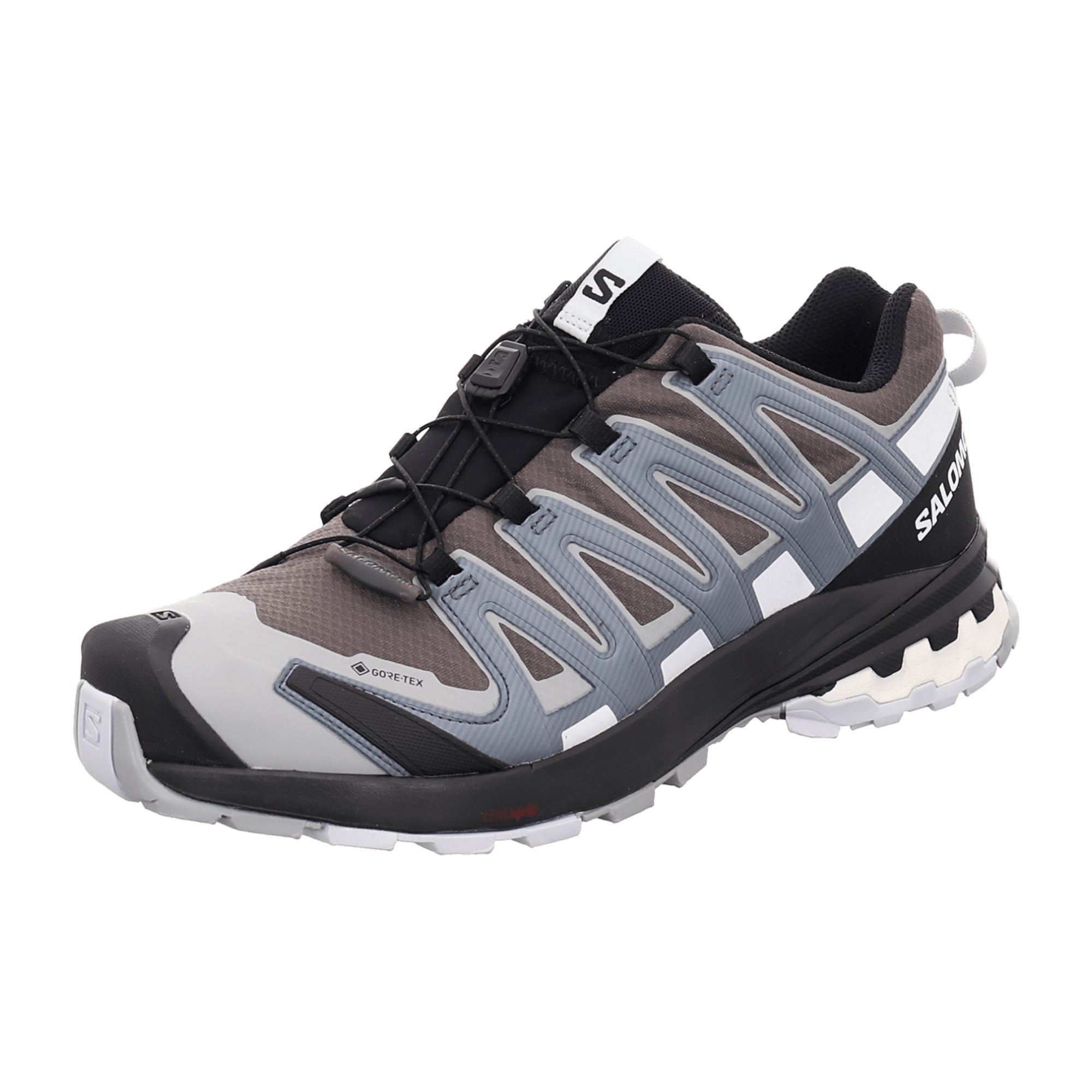 Salomon XA PRO 3D v8 GTX for men, gray, shoes