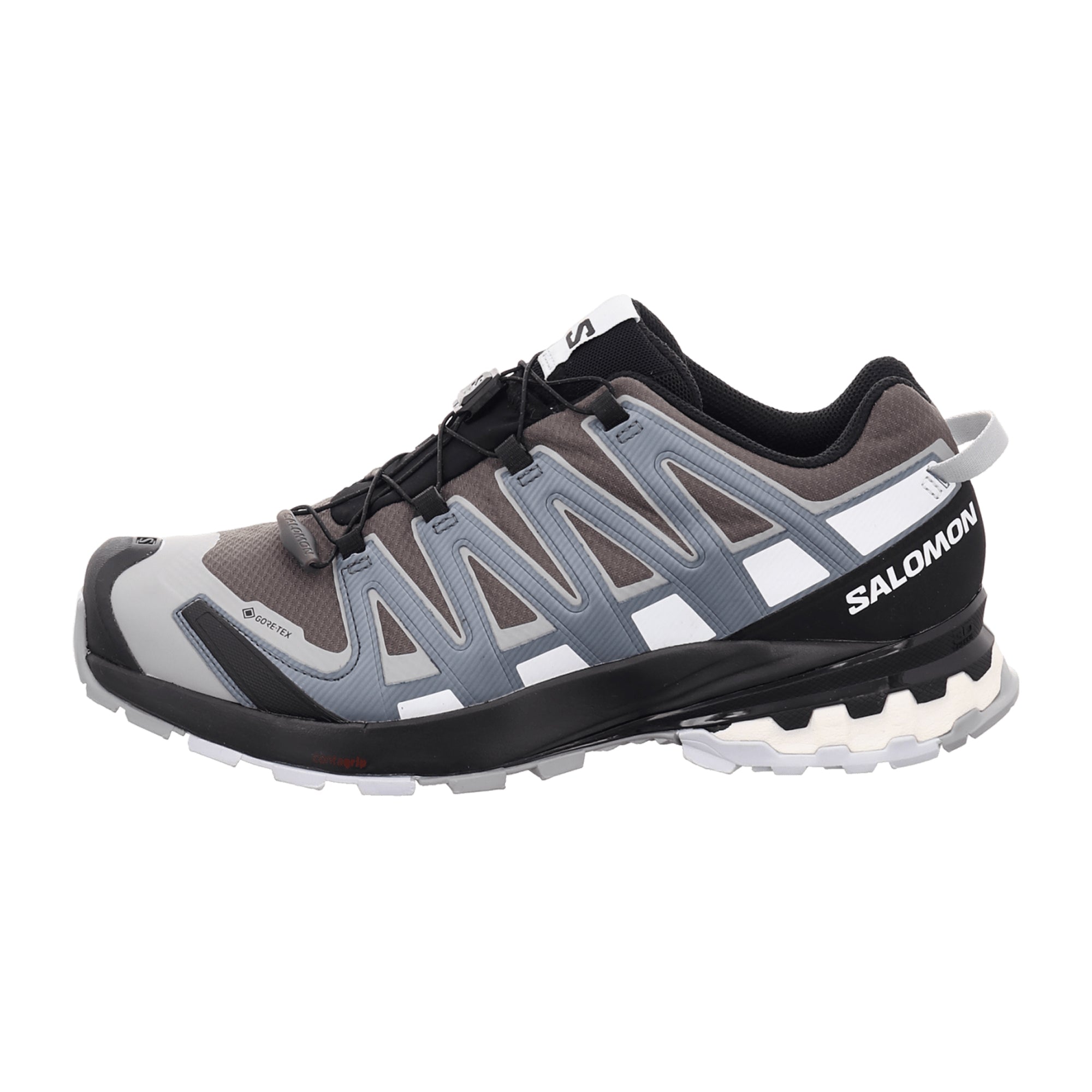 Salomon XA PRO 3D v8 GTX for men, gray, shoes