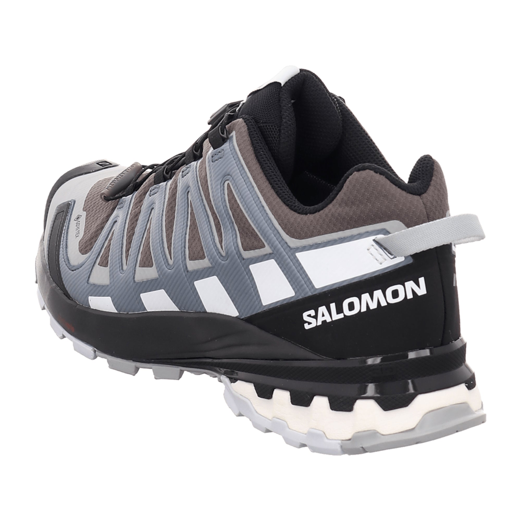 Salomon XA PRO 3D v8 GTX for men, gray, shoes