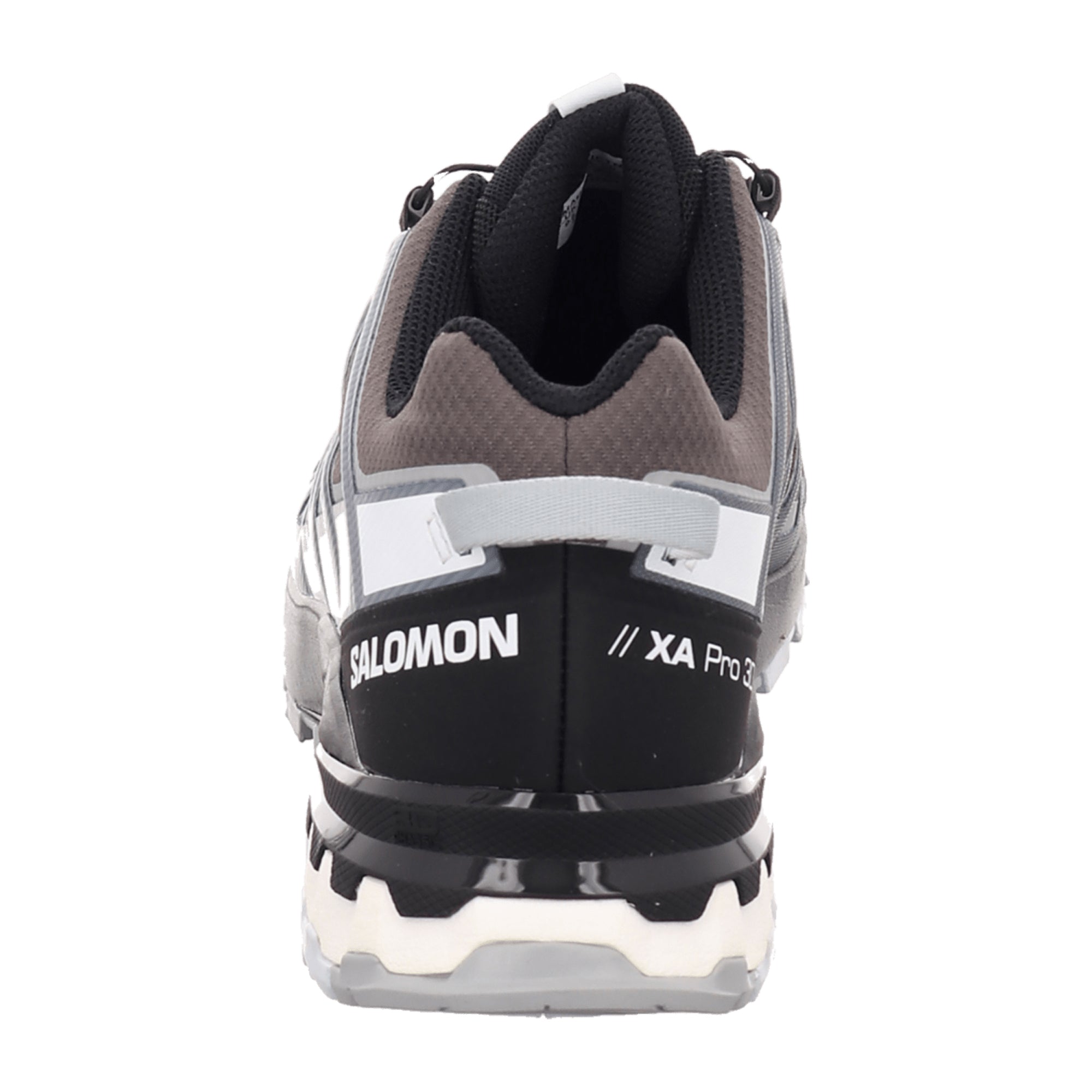Salomon XA PRO 3D v8 GTX for men, gray, shoes