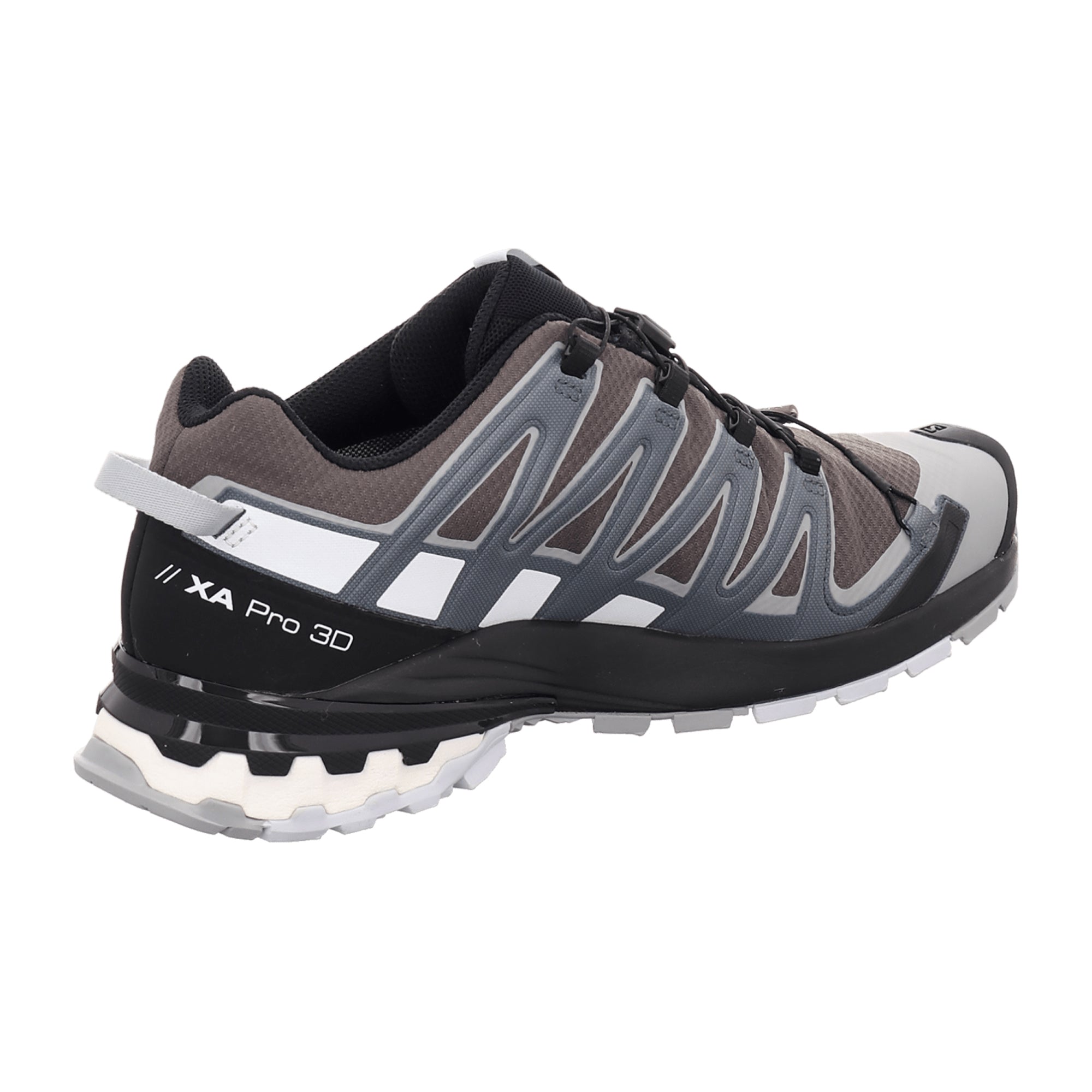 Salomon XA PRO 3D v8 GTX for men, gray, shoes
