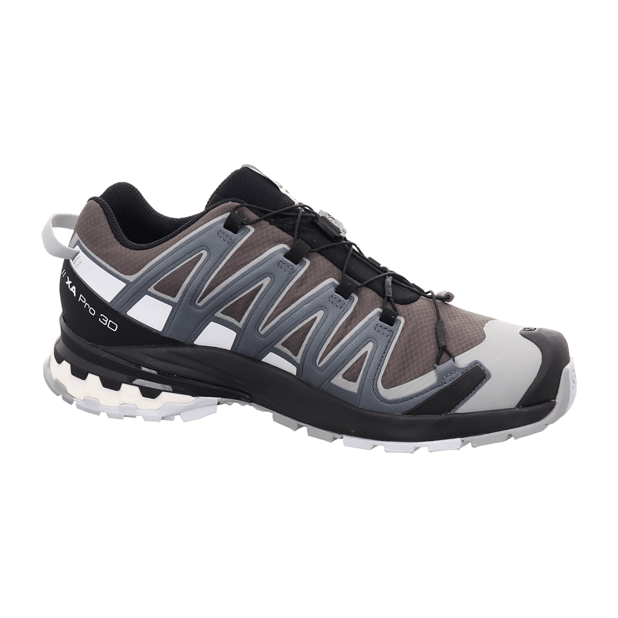 Salomon XA PRO 3D v8 GTX for men, gray, shoes