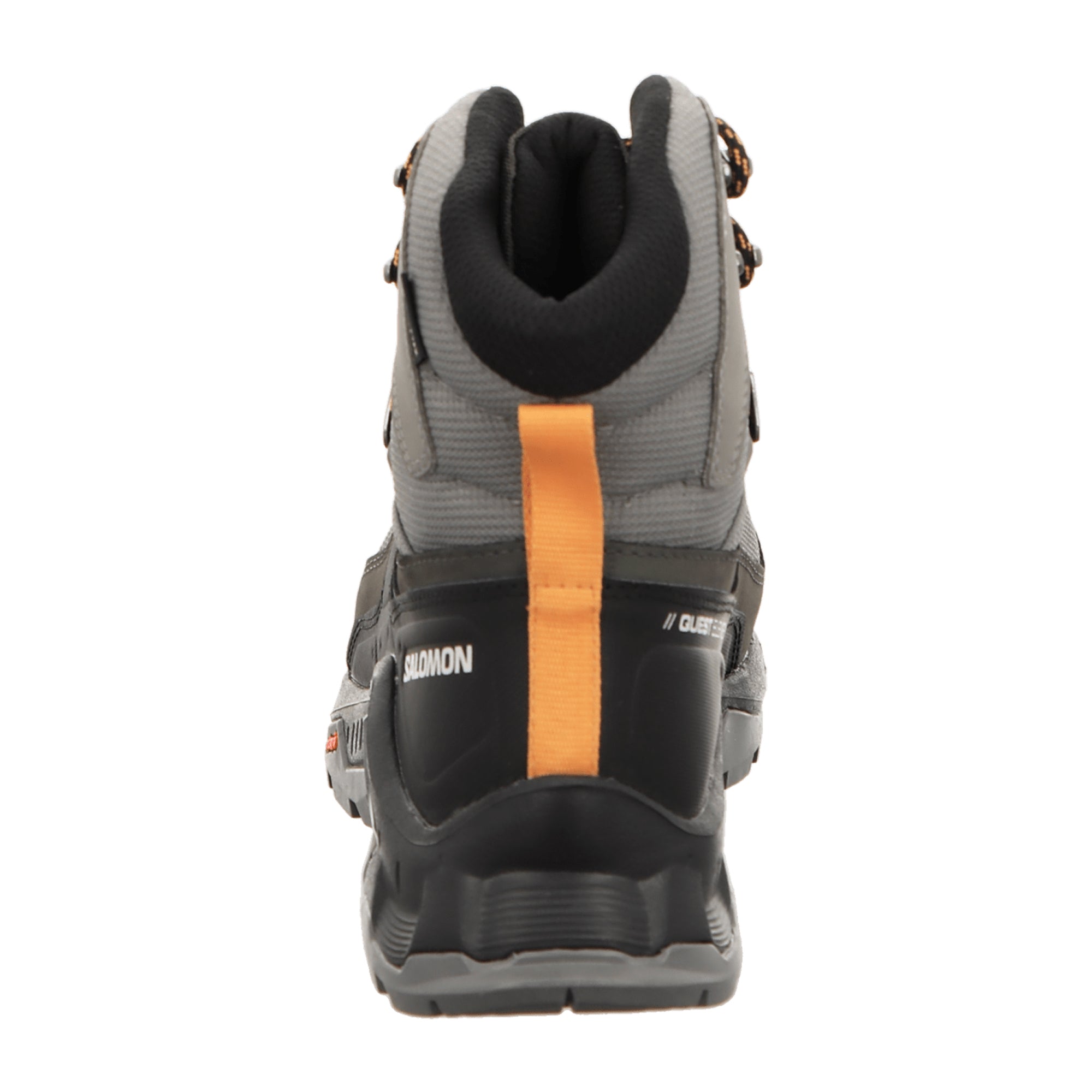 Salomon QUEST ELEMENT GTX for men, brown, shoes