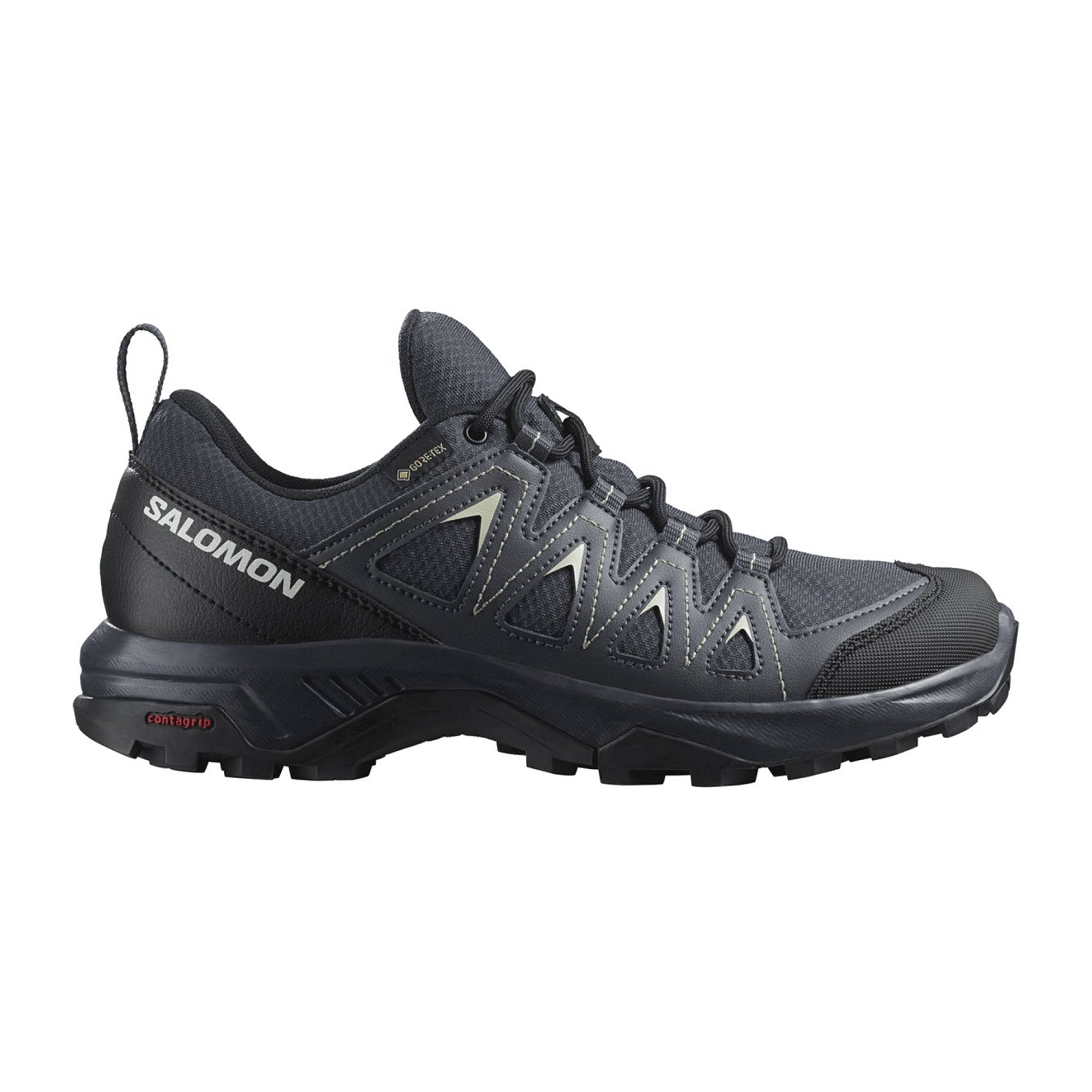 Salomon X BRAZE GTX W for women, gray, shoes