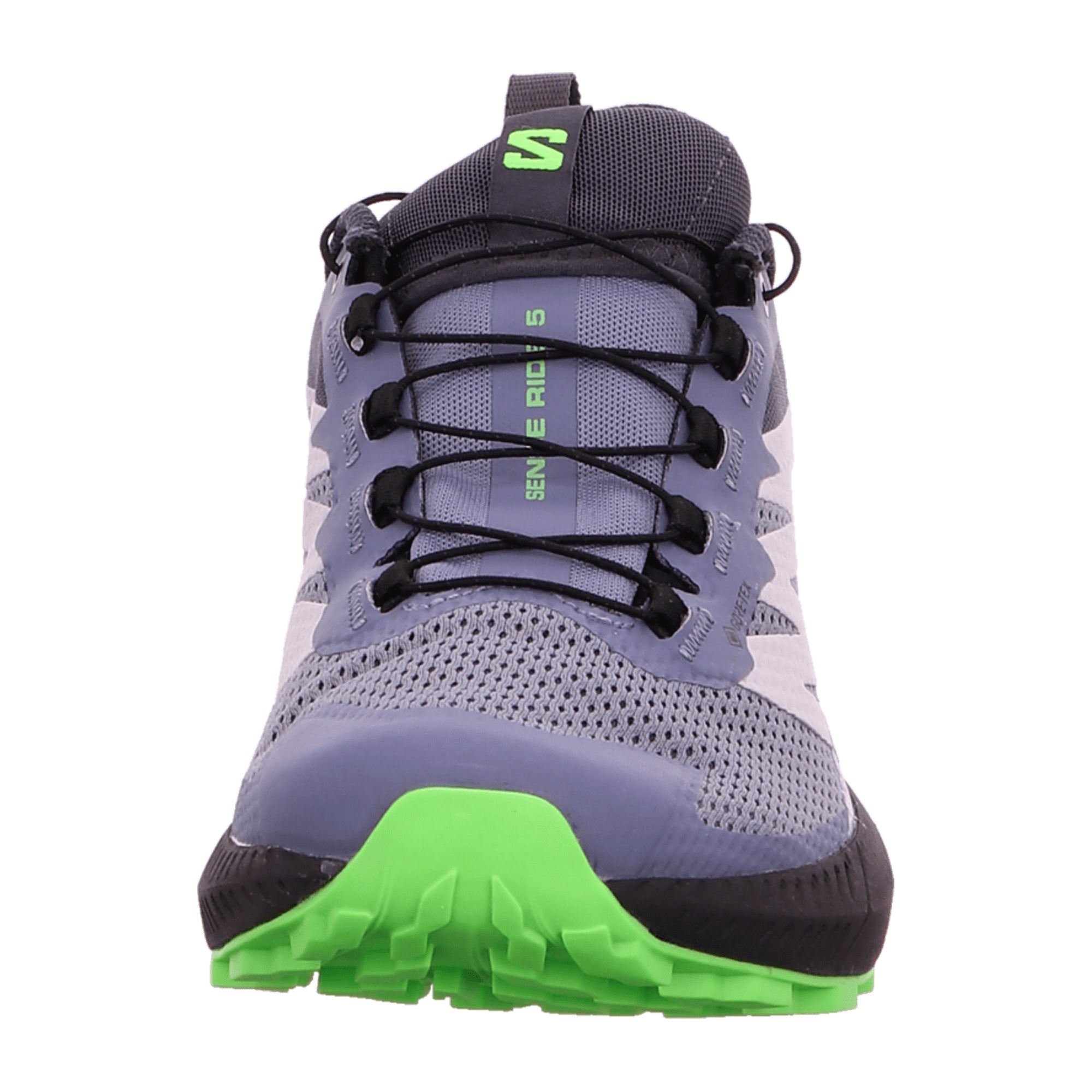 Salomon Sense Ride 5 GTX for men, gray, shoes