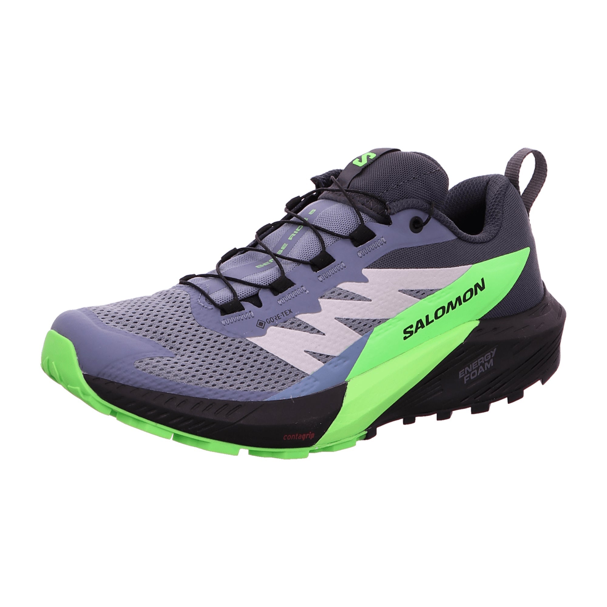Salomon Sense Ride 5 GTX for men, gray, shoes