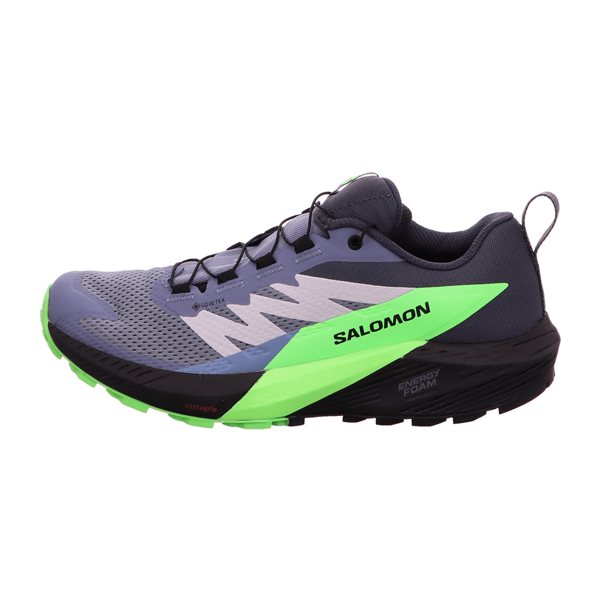 Salomon Sense Ride 5 GTX for men, gray, shoes