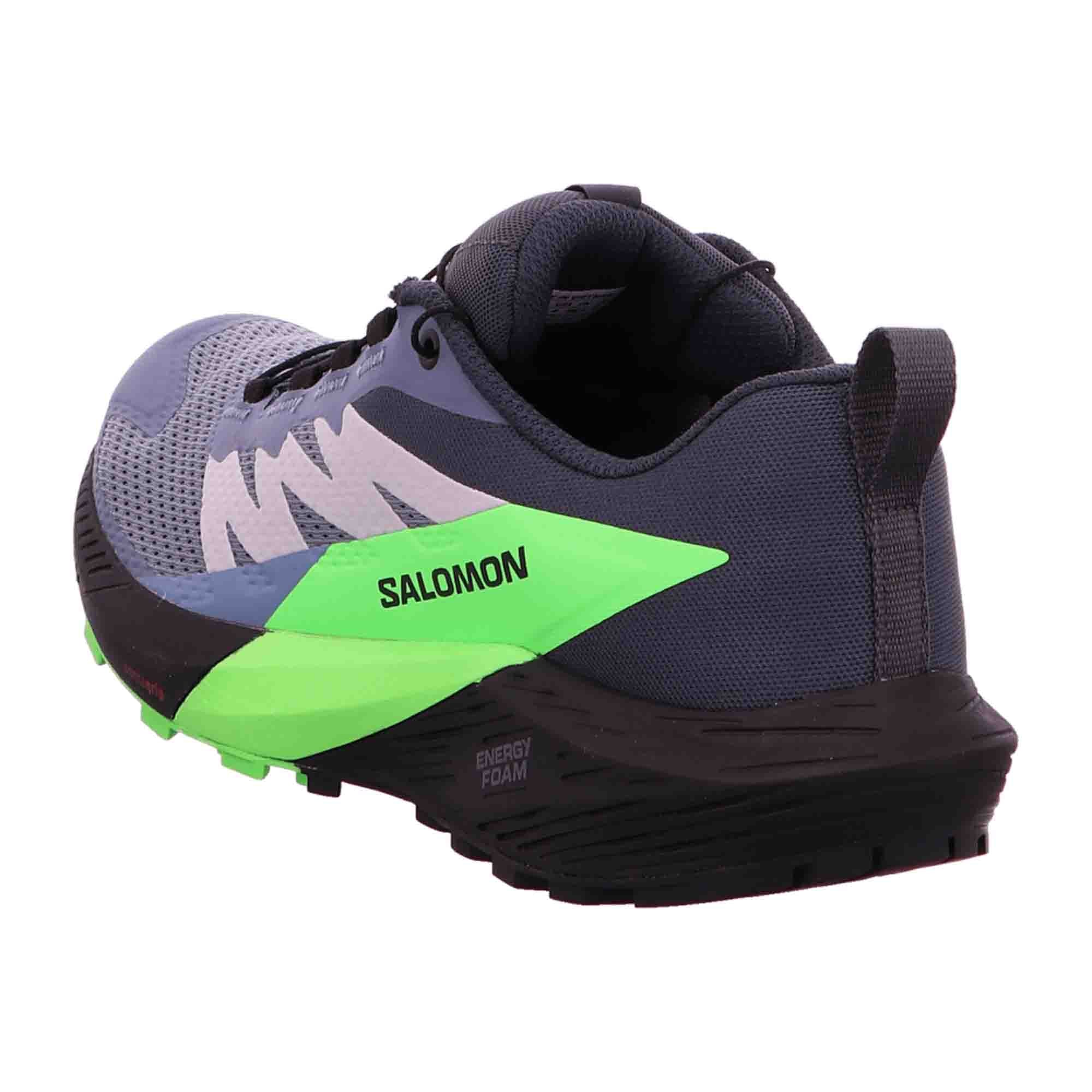 Salomon Sense Ride 5 GTX for men, gray, shoes