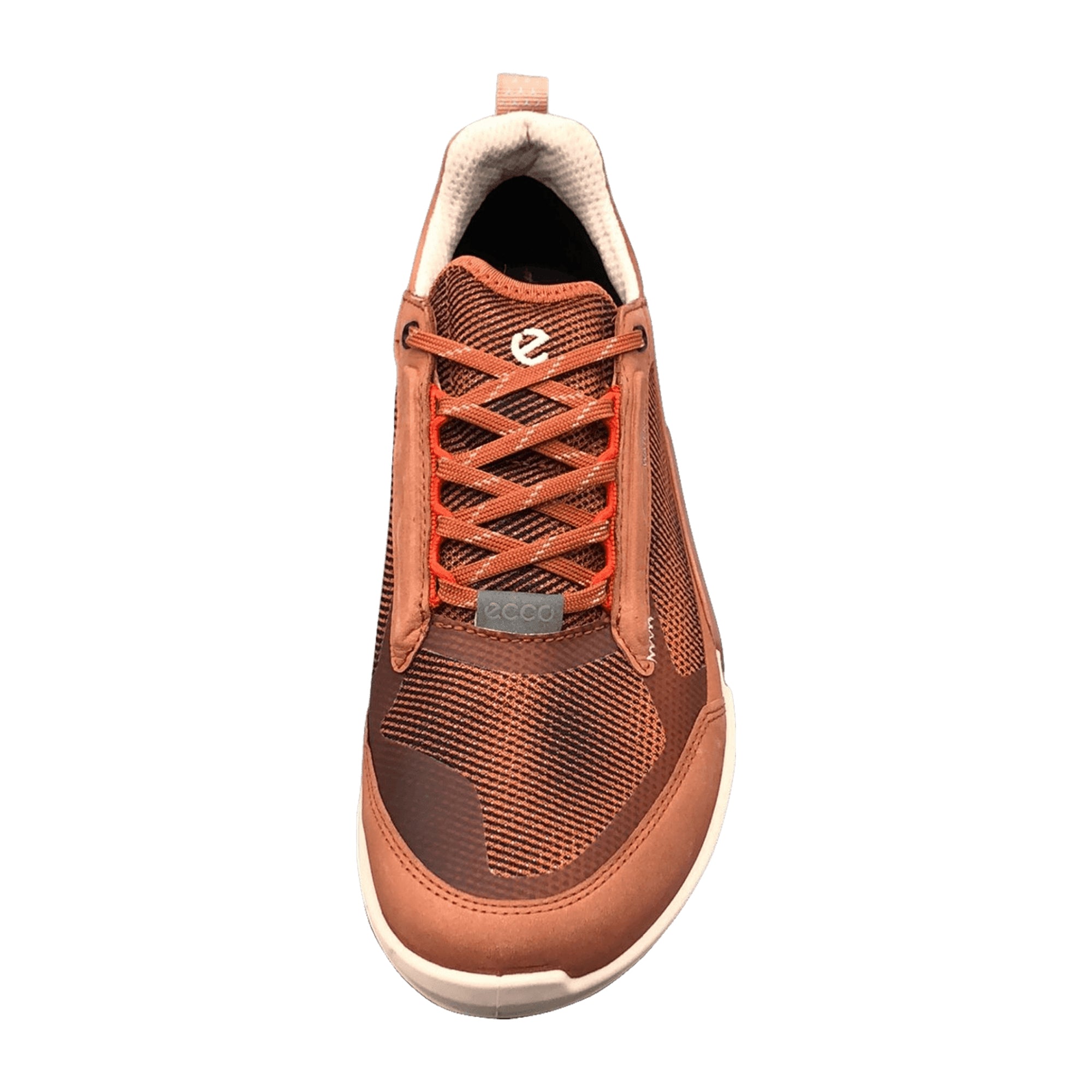 Ecco BIOM 2.1 X MOUNTAIN W Women’s Hiking Shoes in Brown