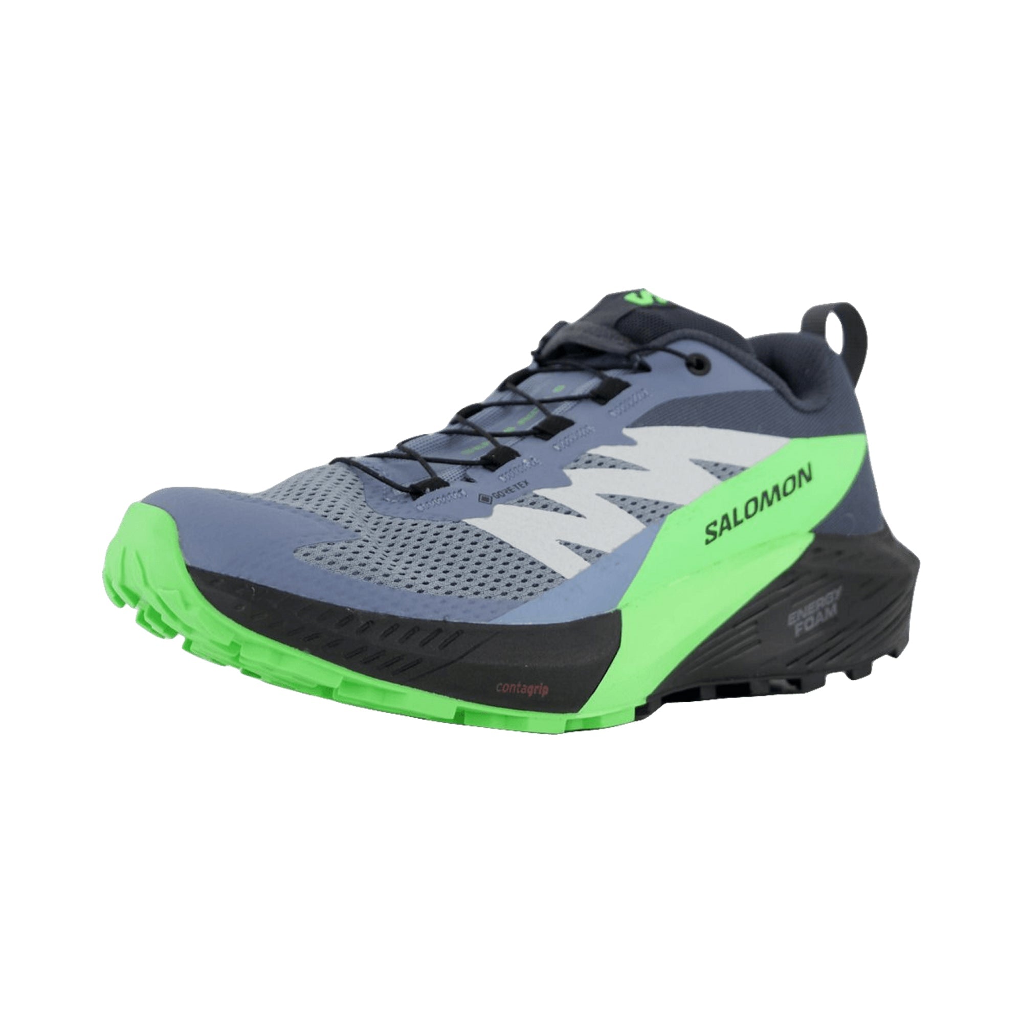 Salomon SENSE RIDE 5 GTX for men, gray, shoes
