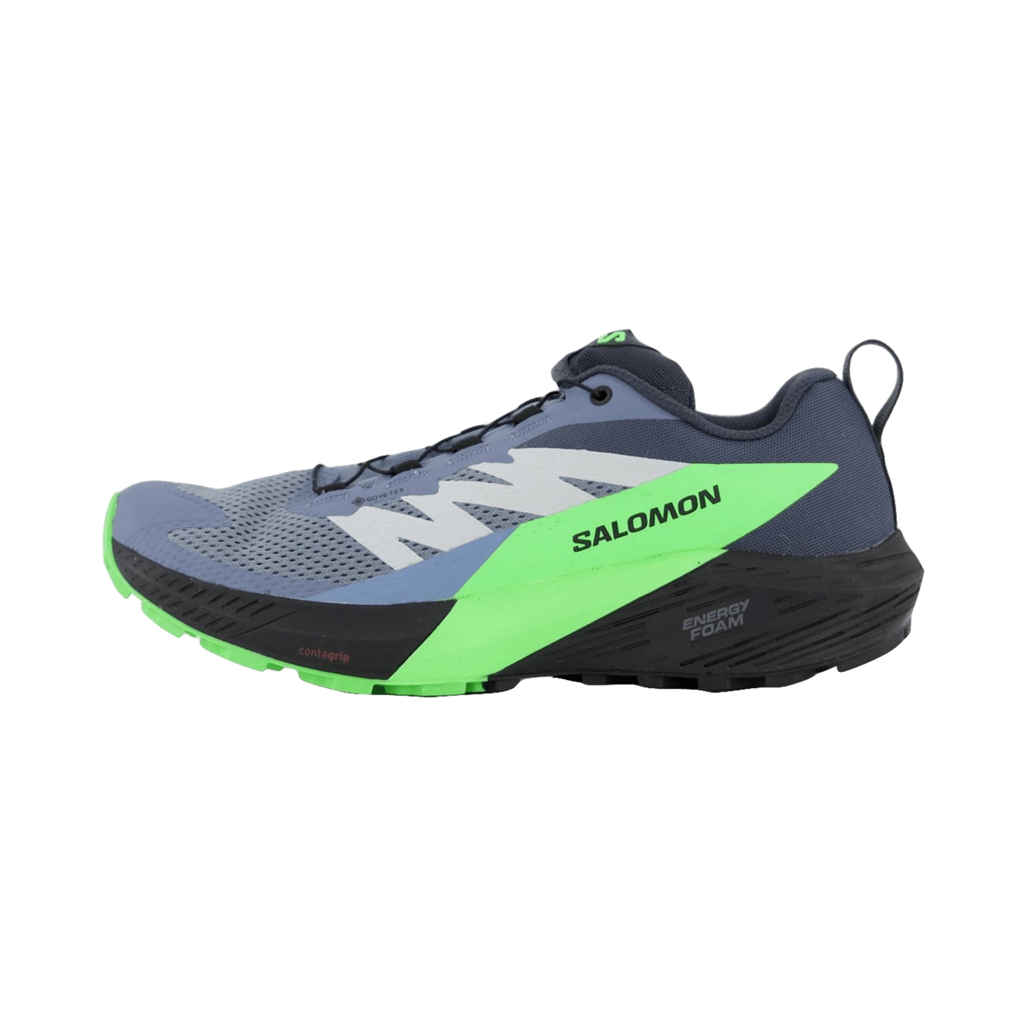 Salomon SENSE RIDE 5 GTX for men, gray, shoes