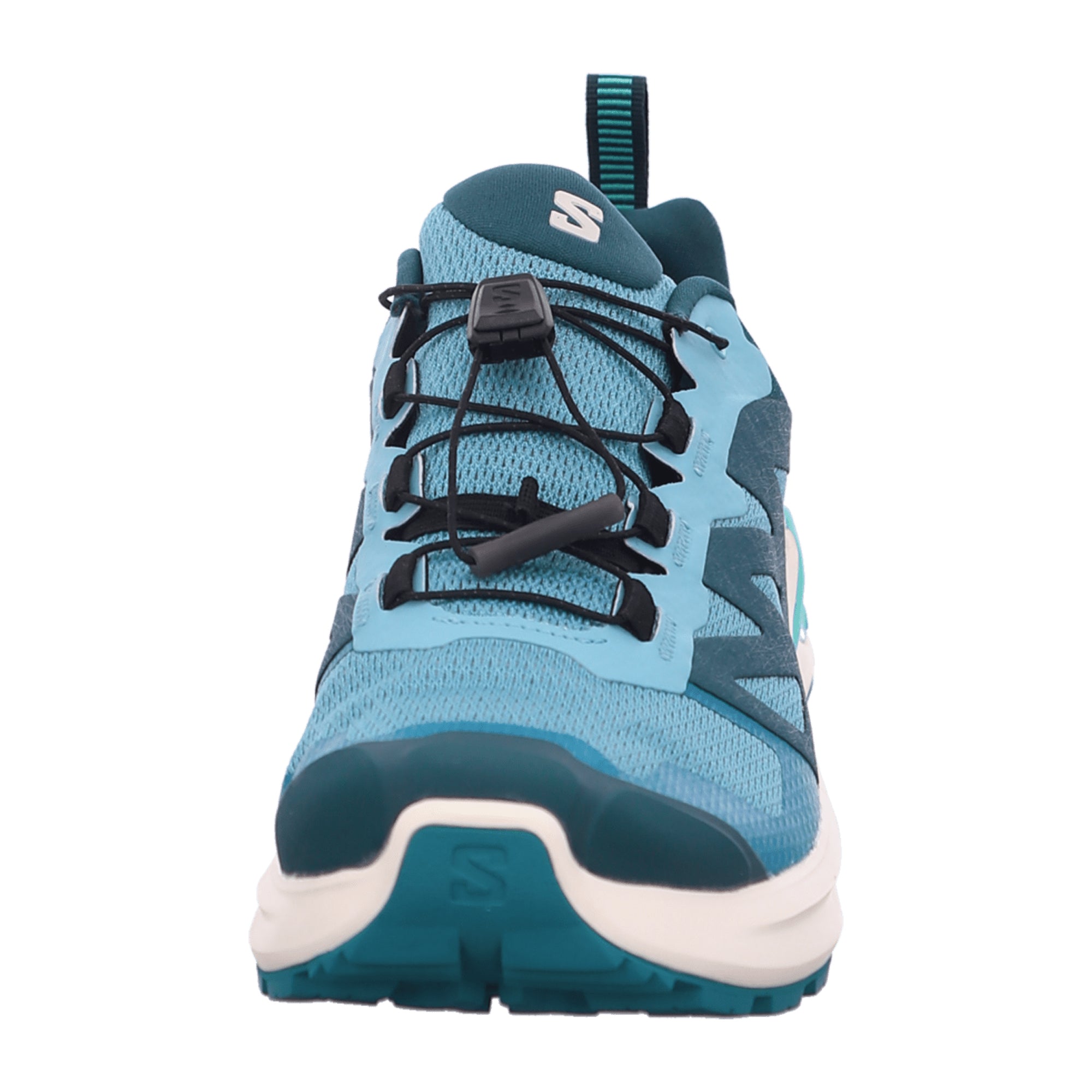 Salomon X Adventure GTX W for women, blue, shoes